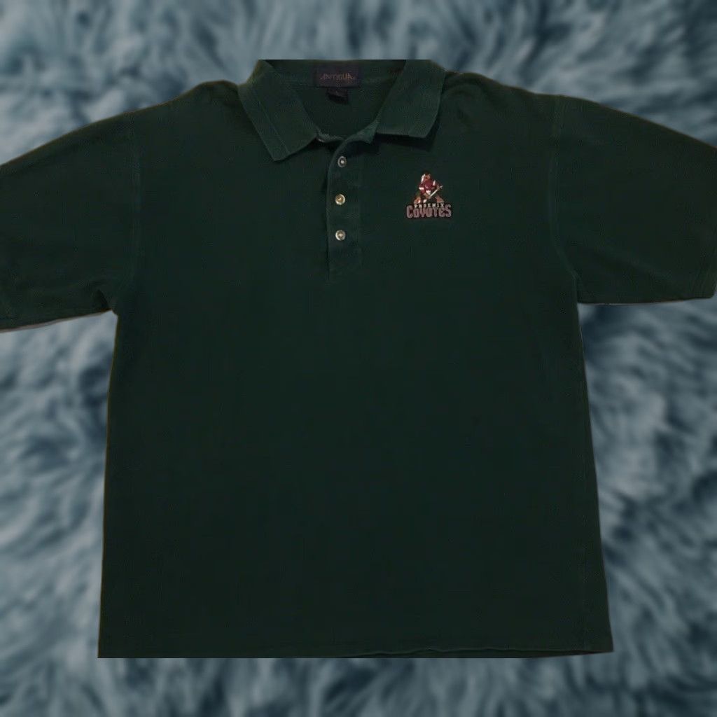 Vintage VINTAGE 90s Phoenix Coyotes Faded Polo Shirt L green Nike Shirt Mens T-Shirt Short Sleeve 80s Grunge Fans Sun Logo Sports NHL Playoffs Stanley Cup Size US L / EU 52-54 / 3 - 1 Thumbnail