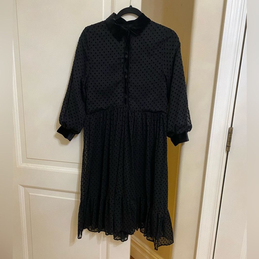 Zara ZARA Swiss Dot Sheer dress Size XS / US 0-2 / IT 36-38 - 4 Thumbnail