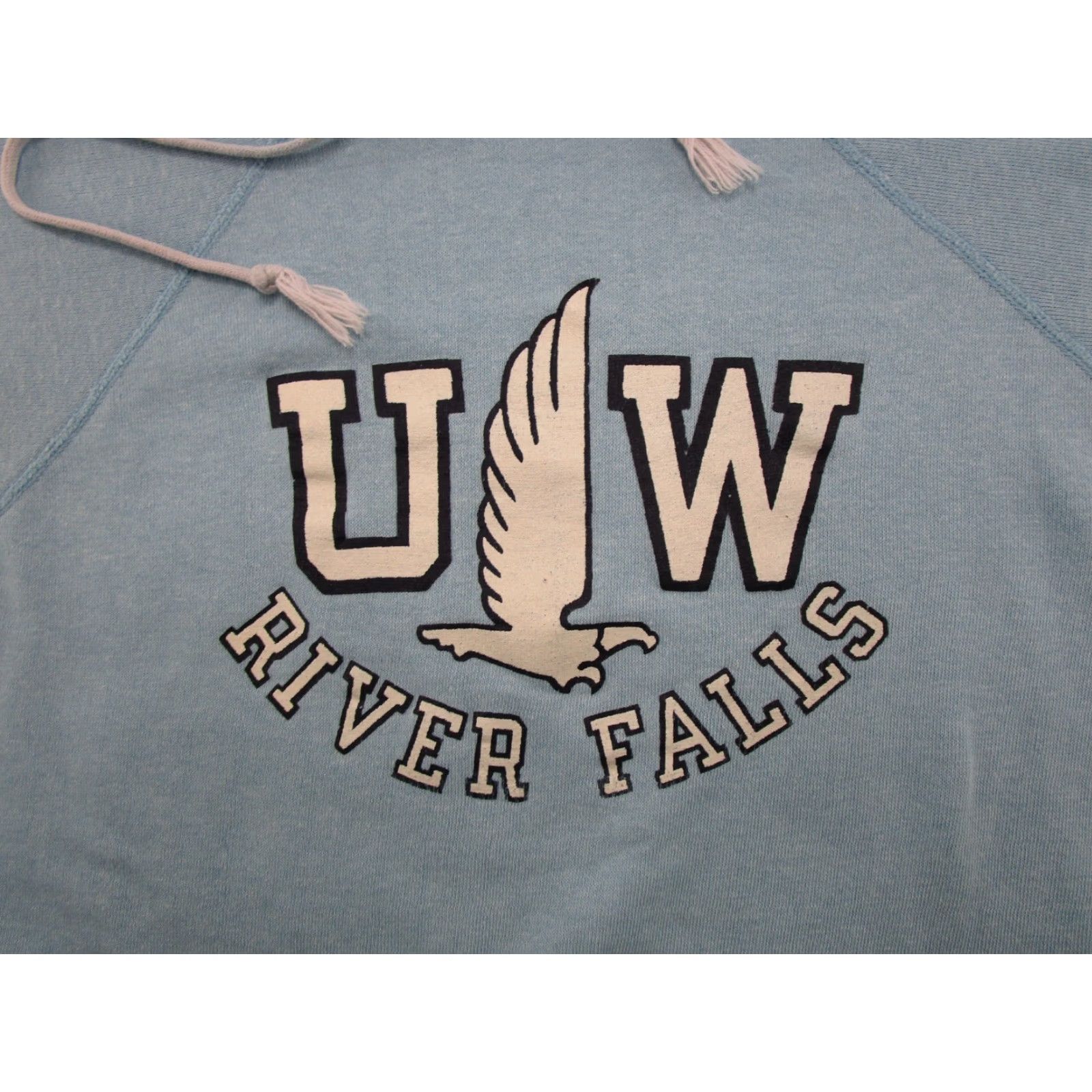 Champion VINTAGE Champion Hoodie Mens Shirt 80s University Blue River Falls Size M Size US M / EU 48-50 / 2 - 2 Thumbnail