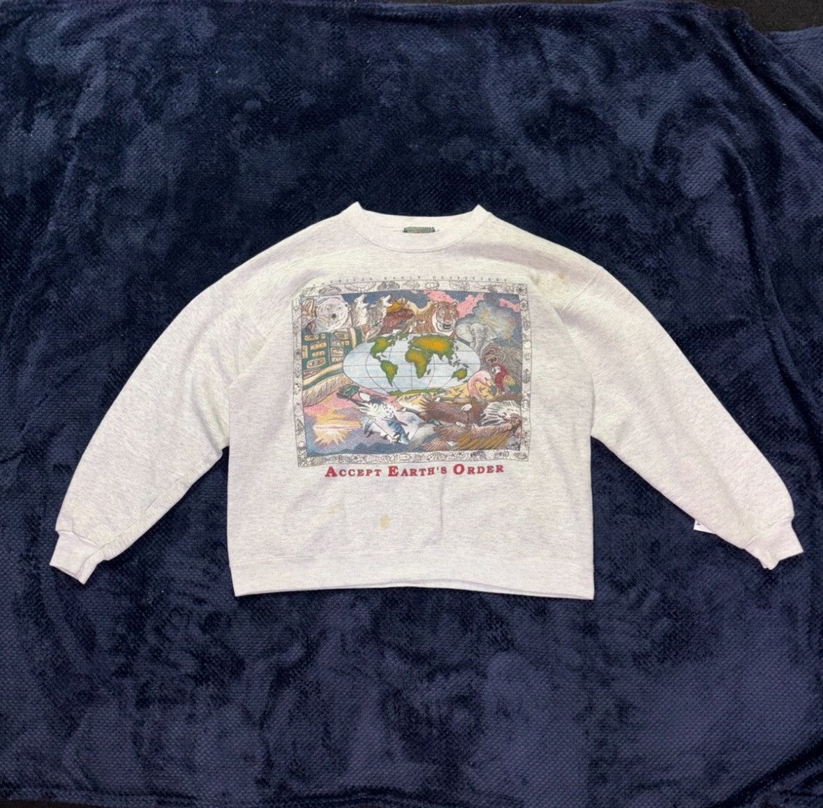 American Eagle Outfitters American Eagle Vintage Sweatshirt Size US L / EU 52-54 / 3 - 1 Thumbnail