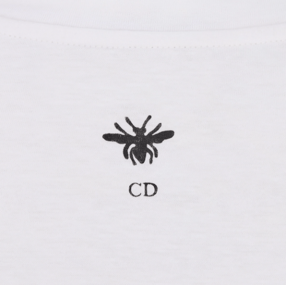 Dior o1w1db10725 453T09 Dioramour Embroidered T-Shirt in White Size L / US 10 / IT 46 - 3 Thumbnail