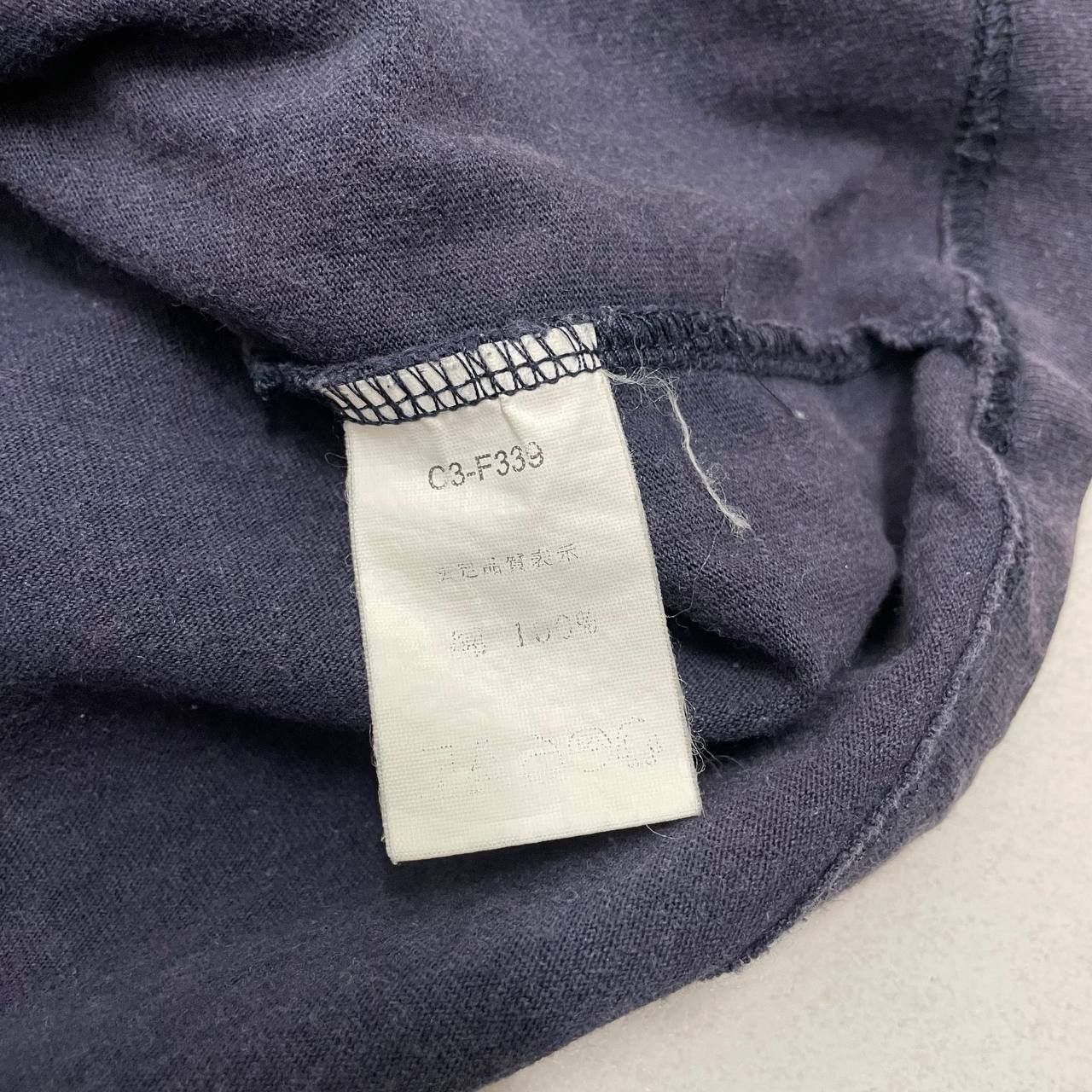 Champion ⭐️SALE⭐️ [L] JOHNSONBURG RUNNER CHAMPION USA TSHIRT Size US L / EU 52-54 / 3 - 4 Thumbnail