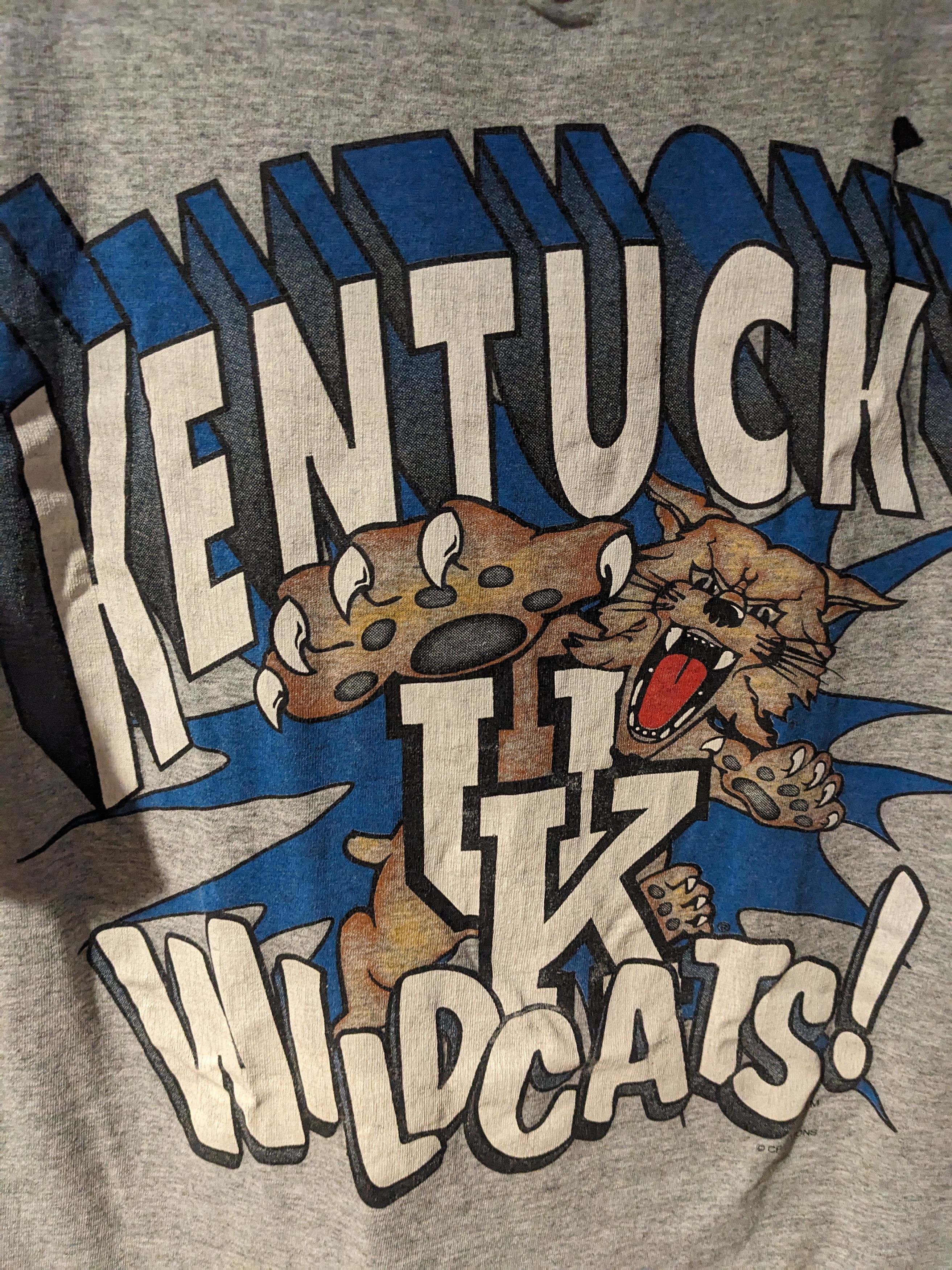 Other Vintage 90s Kentucky Wildcats College Football Large T-Shirt Size US L / EU 52-54 / 3 - 2 Thumbnail