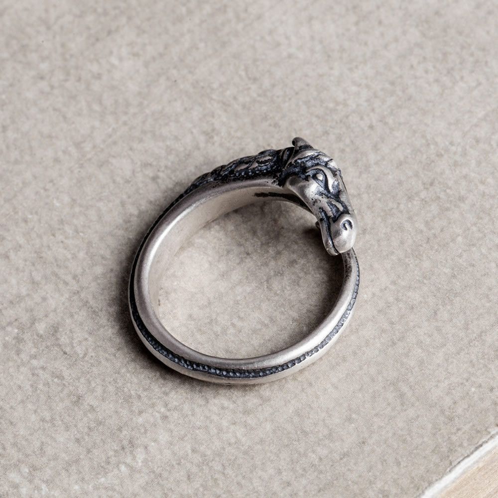 Jewelry Horse Crazy Jewelry Rings Open Size Chrome Ring (Size 7-13) Size ONE SIZE - 2 Thumbnail
