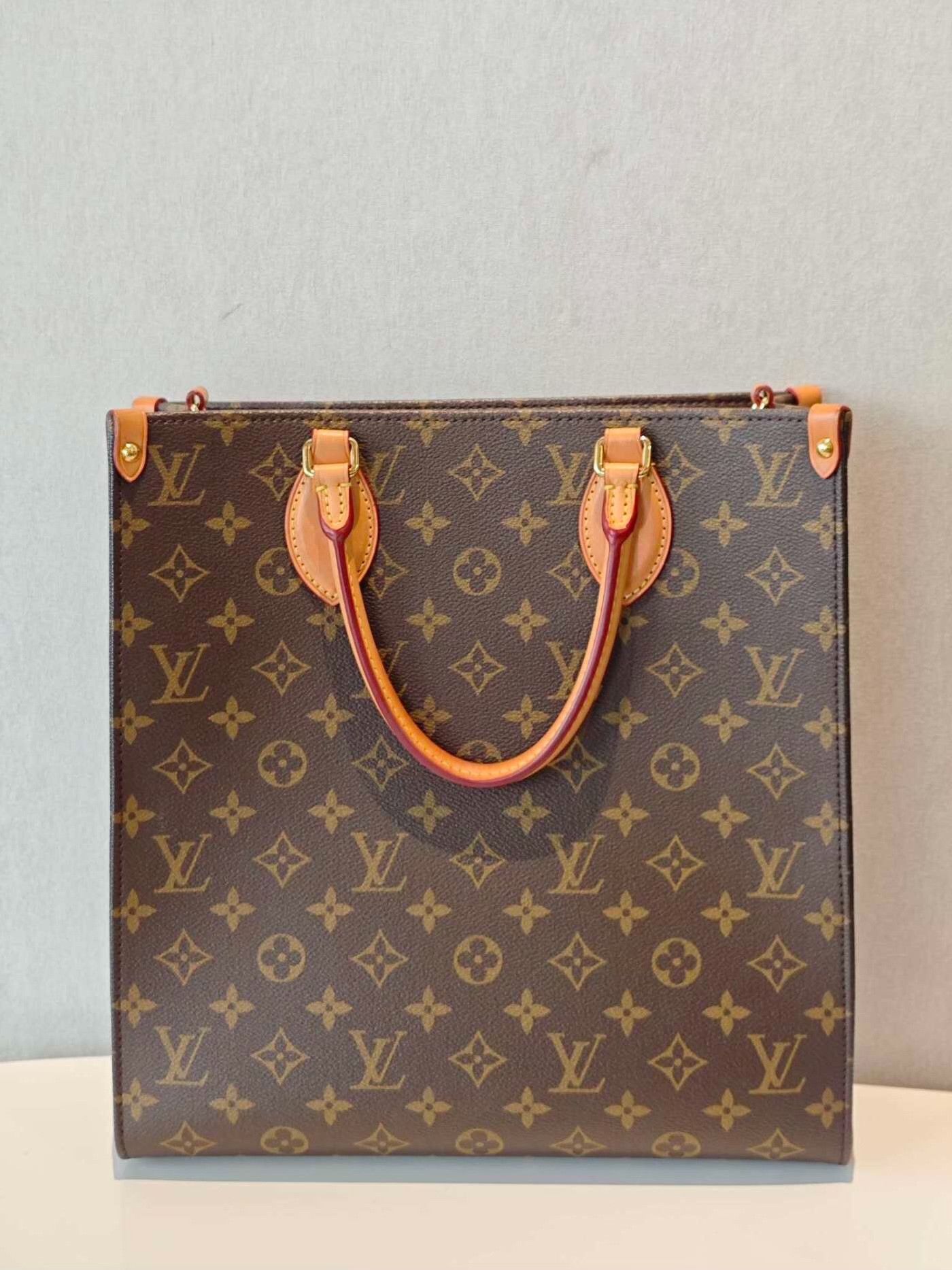 Louis Vuitton Pre-loved Bag Very good condition Size ONE SIZE - 1 Thumbnail