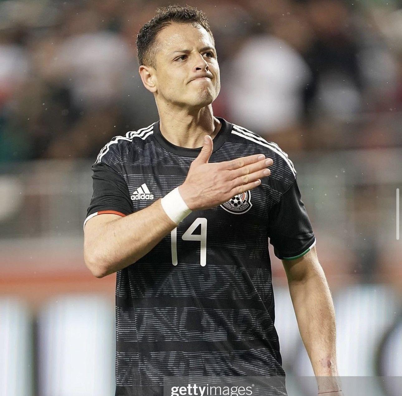 ⭐︎ Hernández⭐︎ _1x618 on X: 