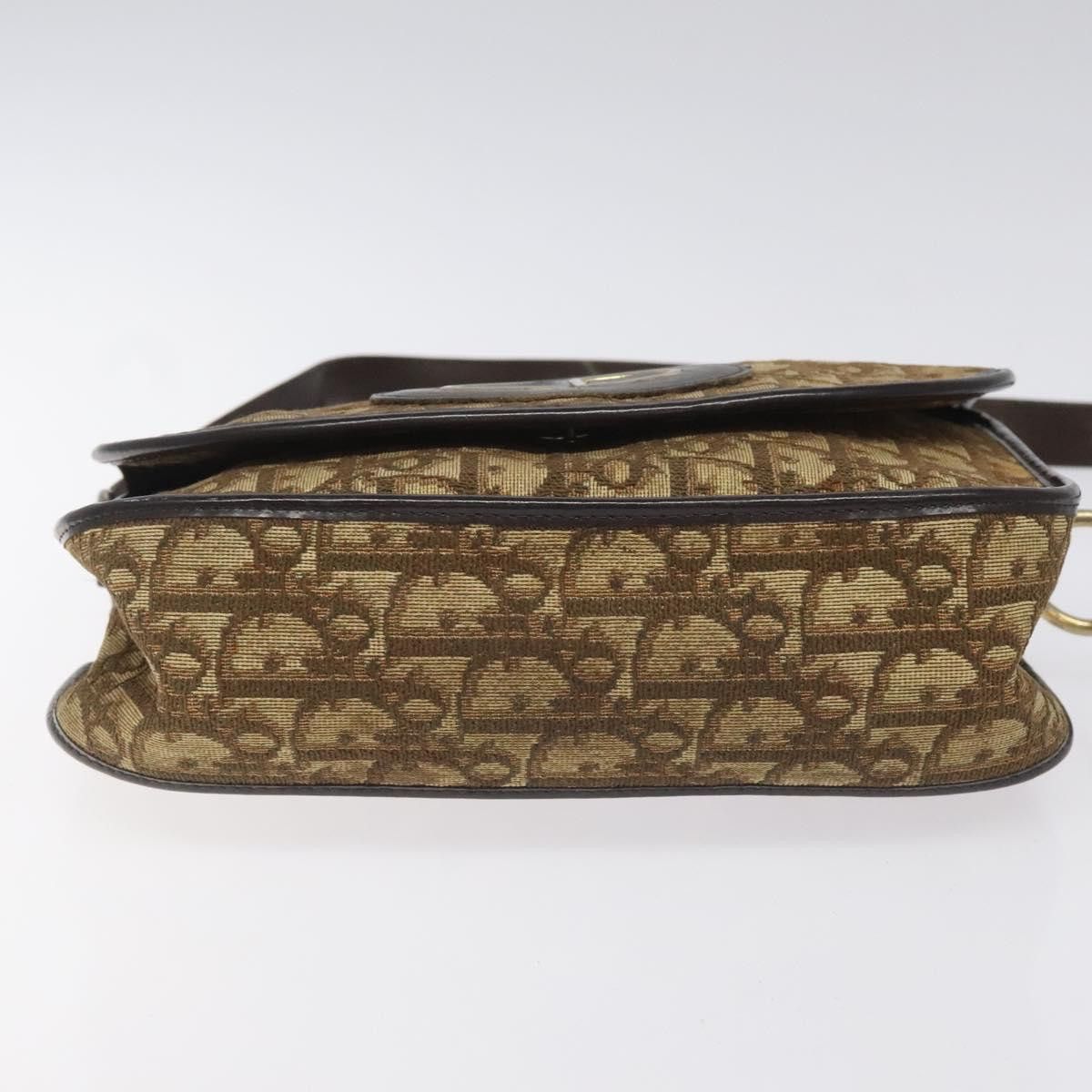 Dior DIOR Trotter Canvas Shoulder Bag Brown Size ONE SIZE - 9 Thumbnail