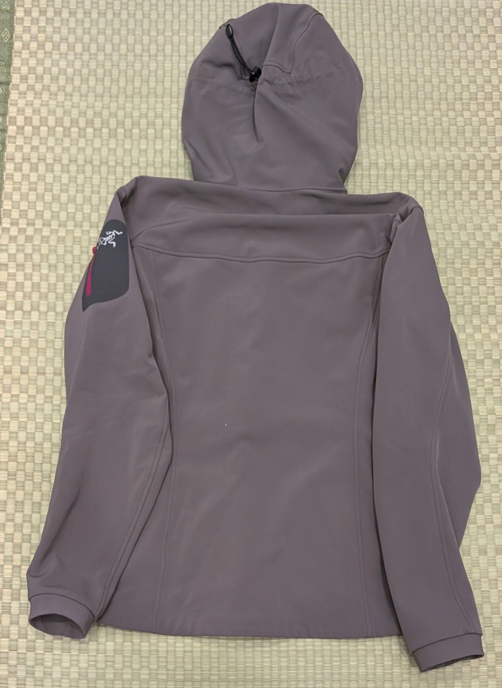 Arc'teryx Arc'teryx Gamma MX Hooded Full Zip Softshell Jacket Size L / US 10 / IT 46 - 2 Thumbnail