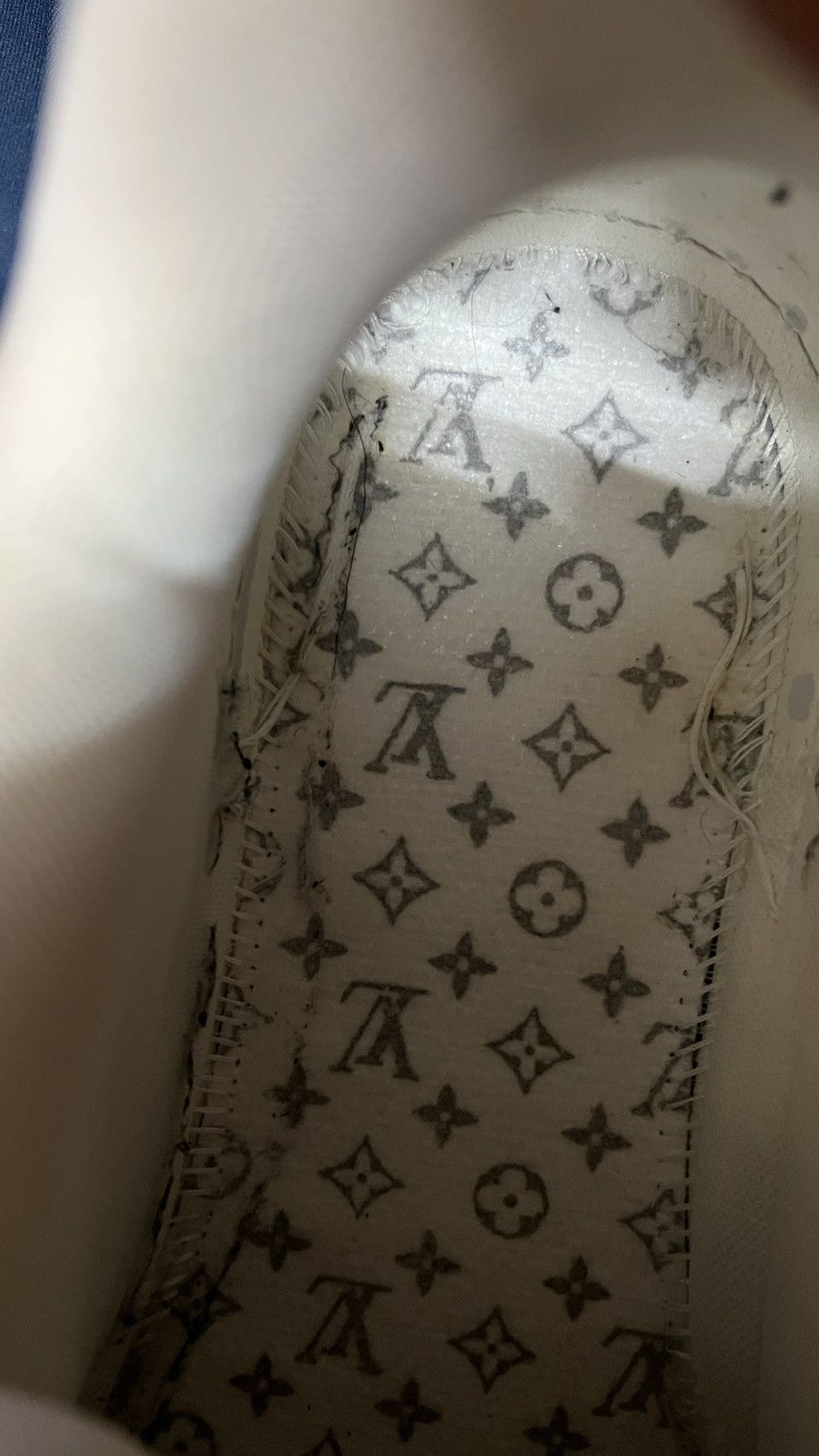Louis Vuitton Louis Vuitton Blue Skates Size US 8 / EU 41 - 16 Thumbnail