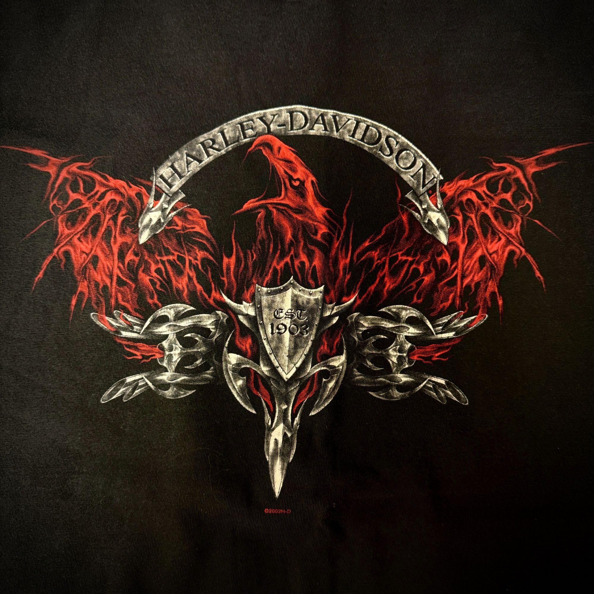 Harley Davidson Twin Cam Motorcycles FLAMING EAGLE Alton IL Biker T Shirt XL Size US XL / EU 56 / 4 - 1 Thumbnail