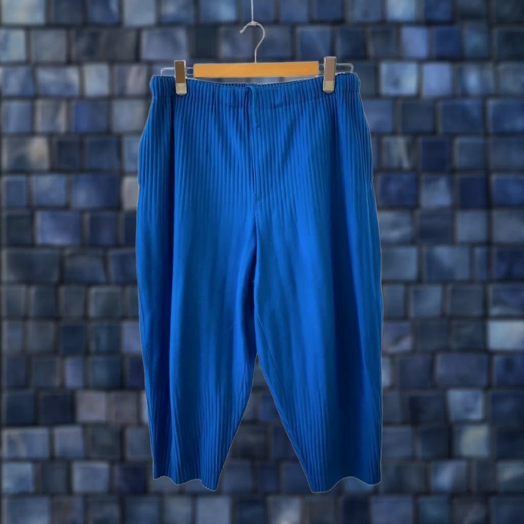 Issey Miyake Homme Plisse Wide Straight Leg Pants JF109 | Grailed