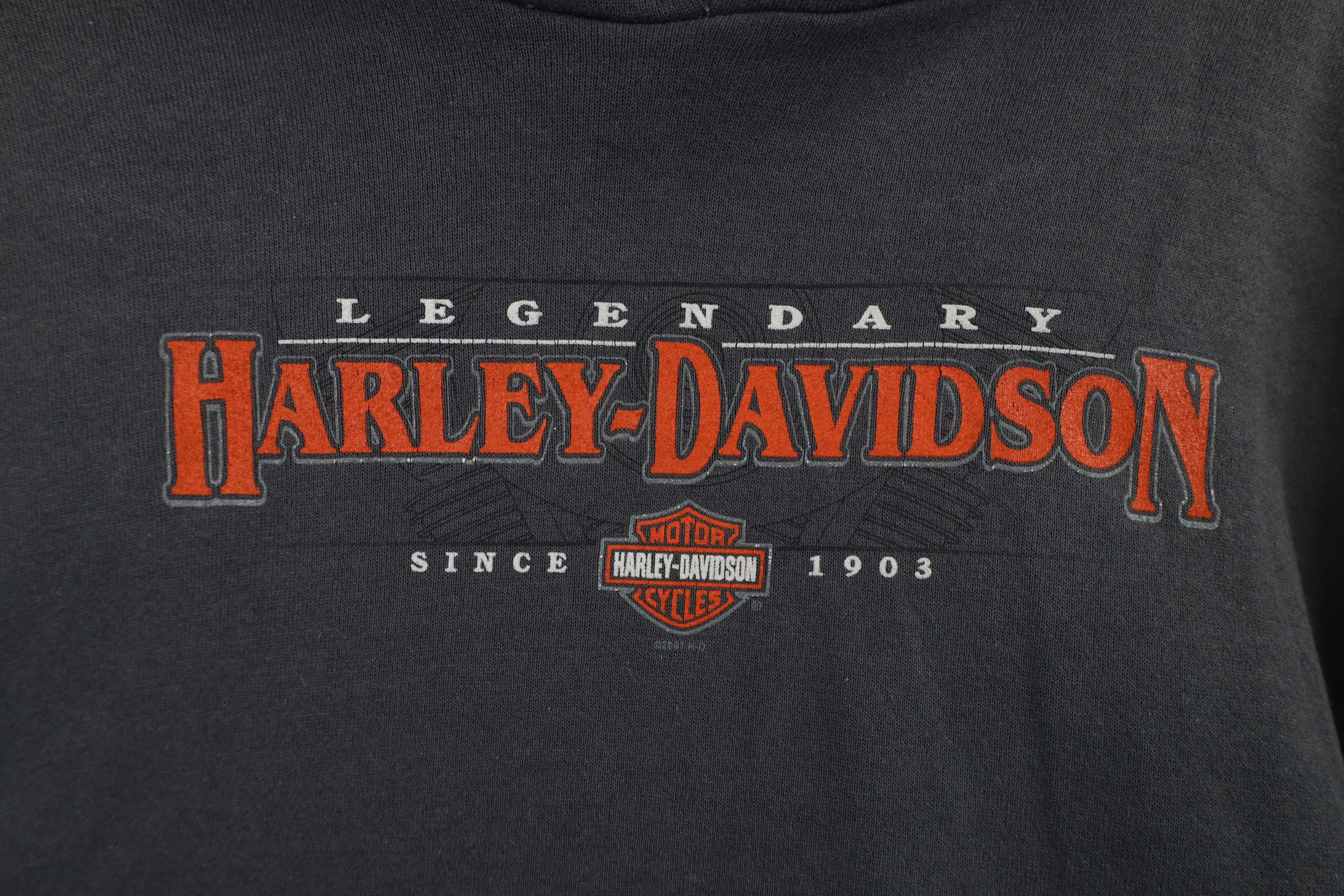 Harley Davidson × Vintage Vintage Y2K Harley Davidson Spell Out Hoodie Sweatshirt Gray Size US XL / EU 56 / 4 - 8 Thumbnail