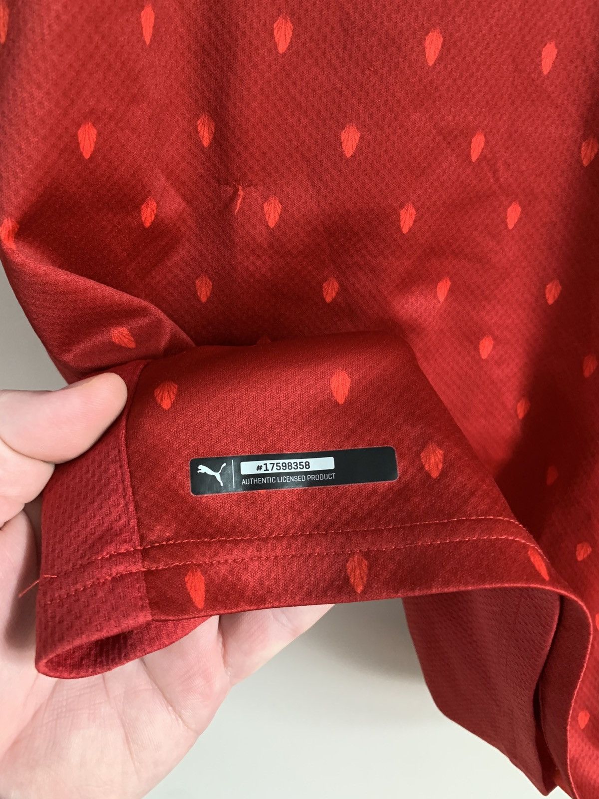 Puma Austria 2020 Home Football Shirt Puma Soccer Jersey Size M Size US M / EU 48-50 / 2 - 5 Thumbnail