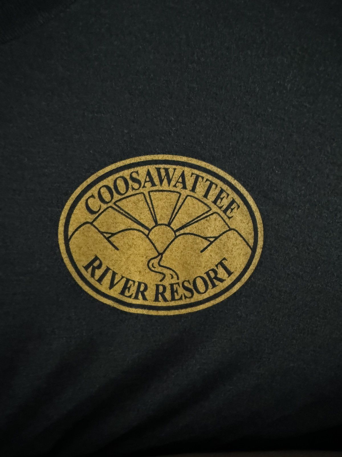 Vintage coosawattee vacation shirt Size US XXL / EU 58 / 5 - 2 Thumbnail