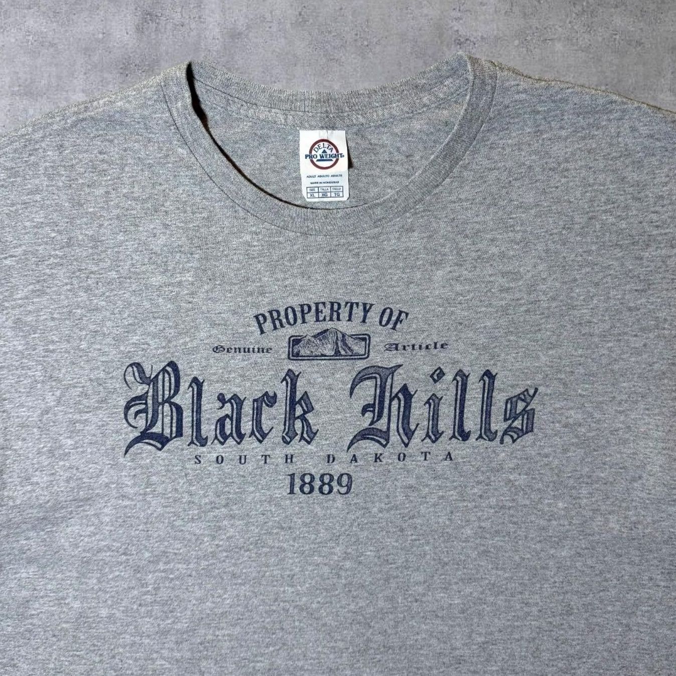 Delta Delta Property Of Black Hills USA Tourist Spellout Graphic Grey T-Shirt XL Men Clothing Short Sleeve Round Neck Cotton USA Tourist Graphic Size US XL / EU 56 / 4 - 4 Thumbnail