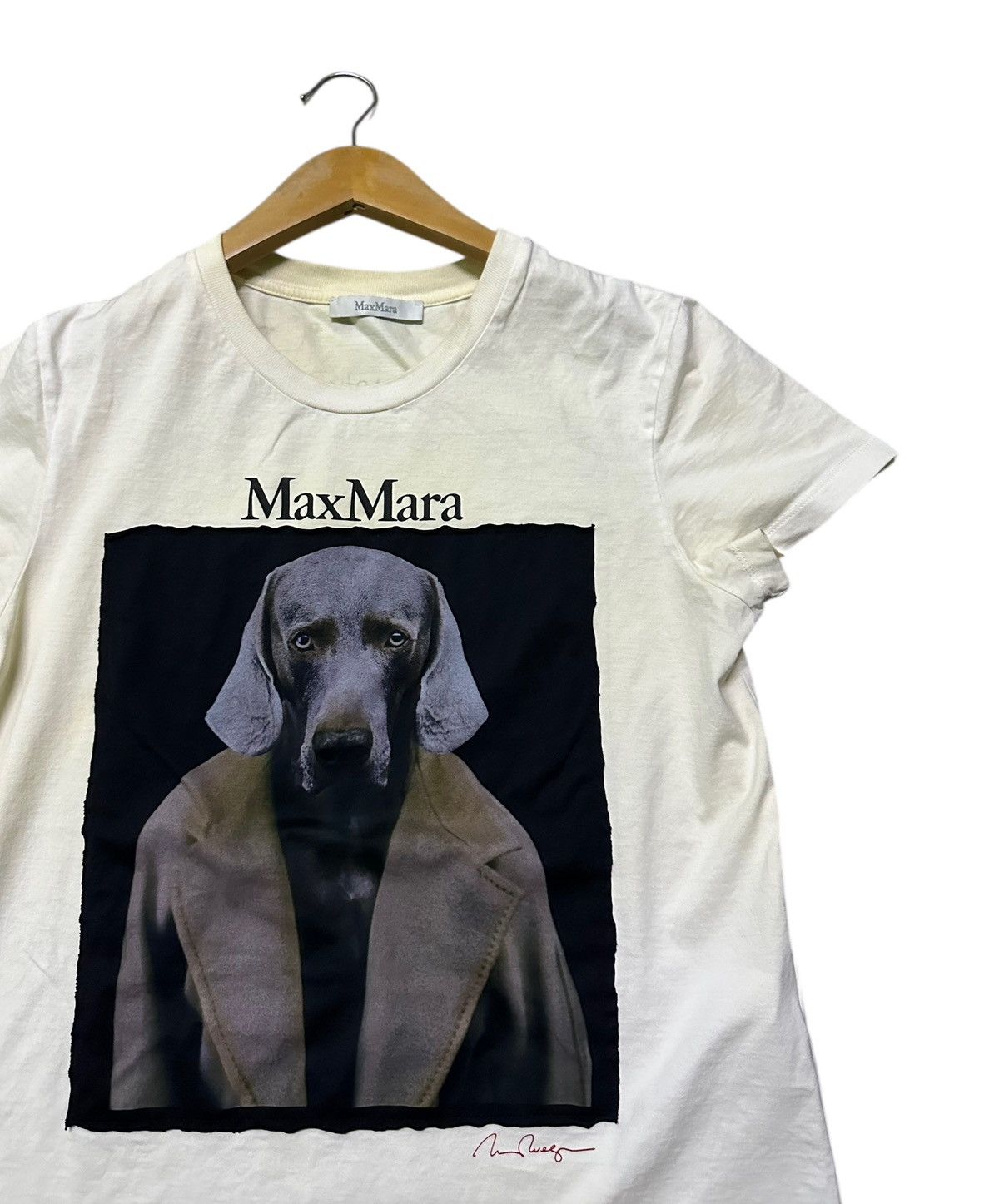 Max Mara Max Mara 2022 Omotesando Limited William Wegman Dog Photo Size M / US 6-8 / IT 42-44 - 2 Thumbnail