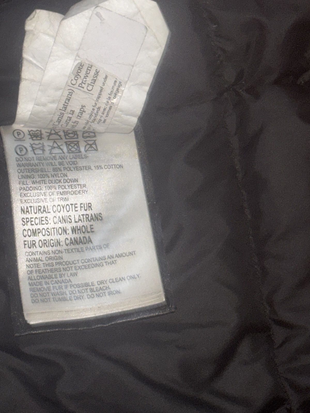 Canada Goose Canada Goose Puffer Down Parka Jacket Coyot Hood Size US S / EU 44-46 / 1 - 15 Thumbnail