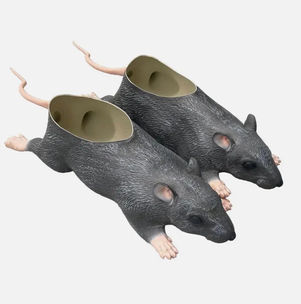 Rat shoes