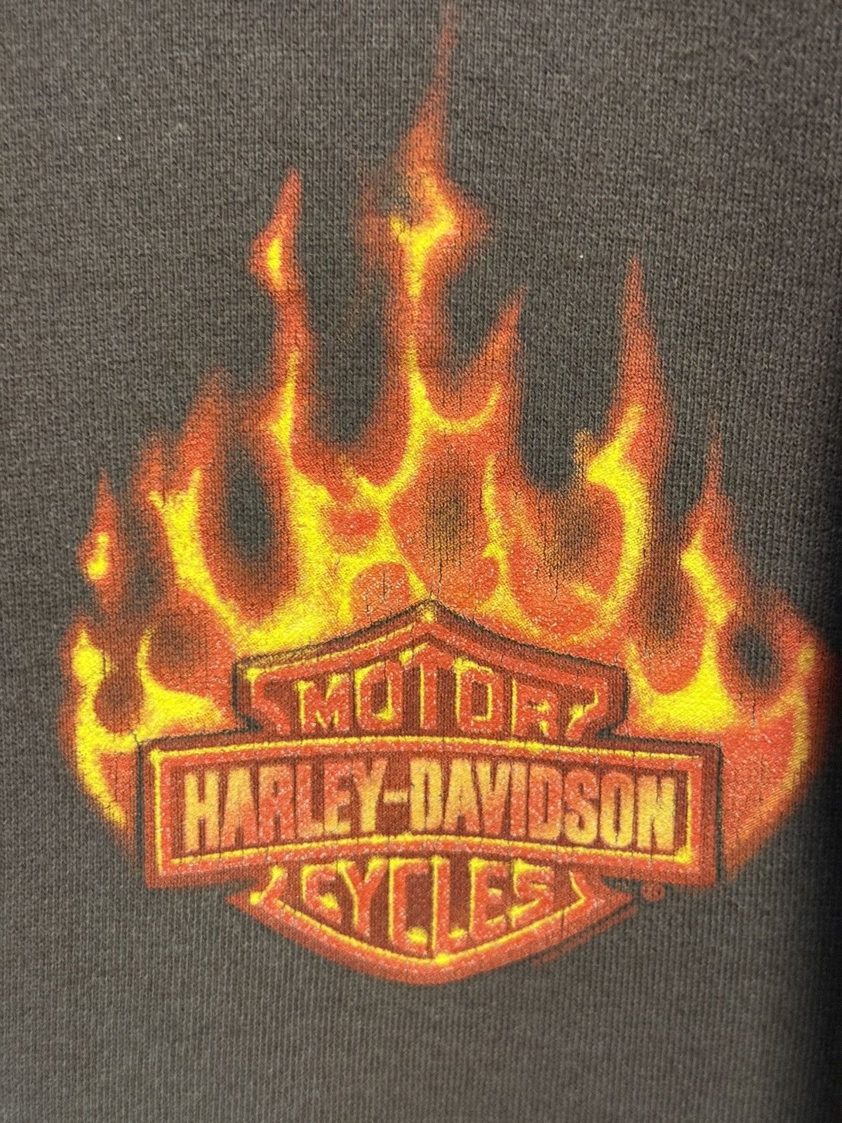 Harley Davidson Harley Davidson Honolulu Pacific Flaming Hoodie Choco Brown Size US M / EU 48-50 / 2 - 2 Thumbnail