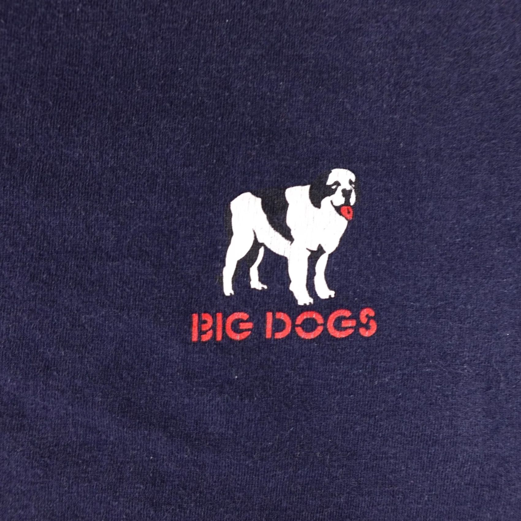 Big Dogs VINTAGE Big Dogs Shirt Mens 3X Blue Short Sleeve 2006 Can't Fix Stupid Graphic Size US XXL / EU 58 / 5 - 5 Thumbnail