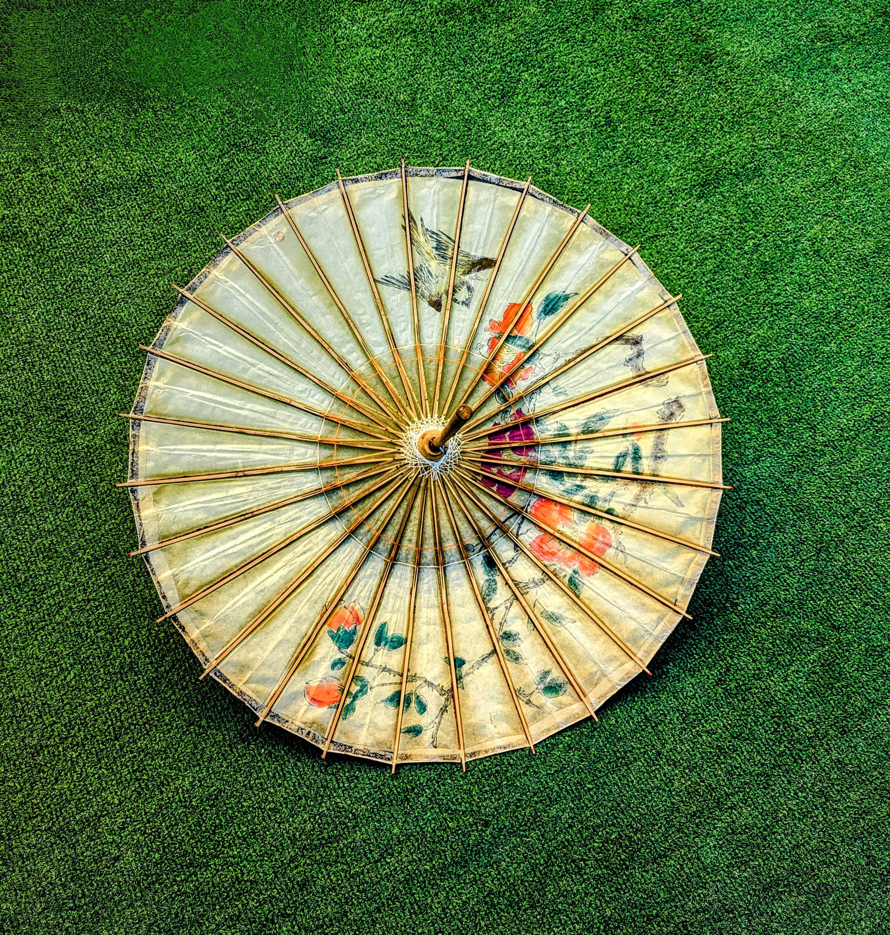 Vintage Sparrow & Flowers Small Bamboo Wax Paper Parasol Umbrella Size ONE SIZE - 5 Thumbnail