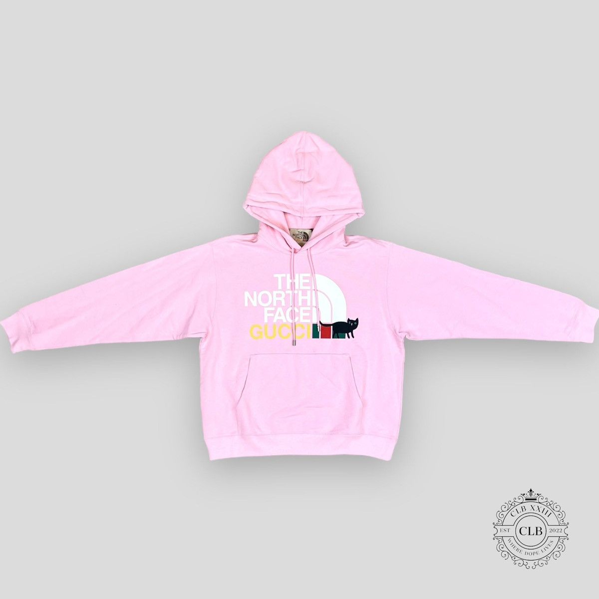 Image of Gucci X The North Face Sweatshirt- Pink, Men's (Size XS)