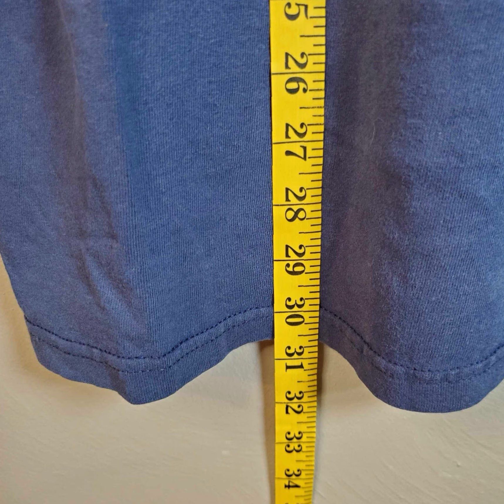 Nike VINTAGE Nike Pitt Panthers T Shirt Center Swoosh Grey Tag Large Pittsburgh L Blue Mens Sports Classic 90s Size US L / EU 52-54 / 3 - 5 Thumbnail