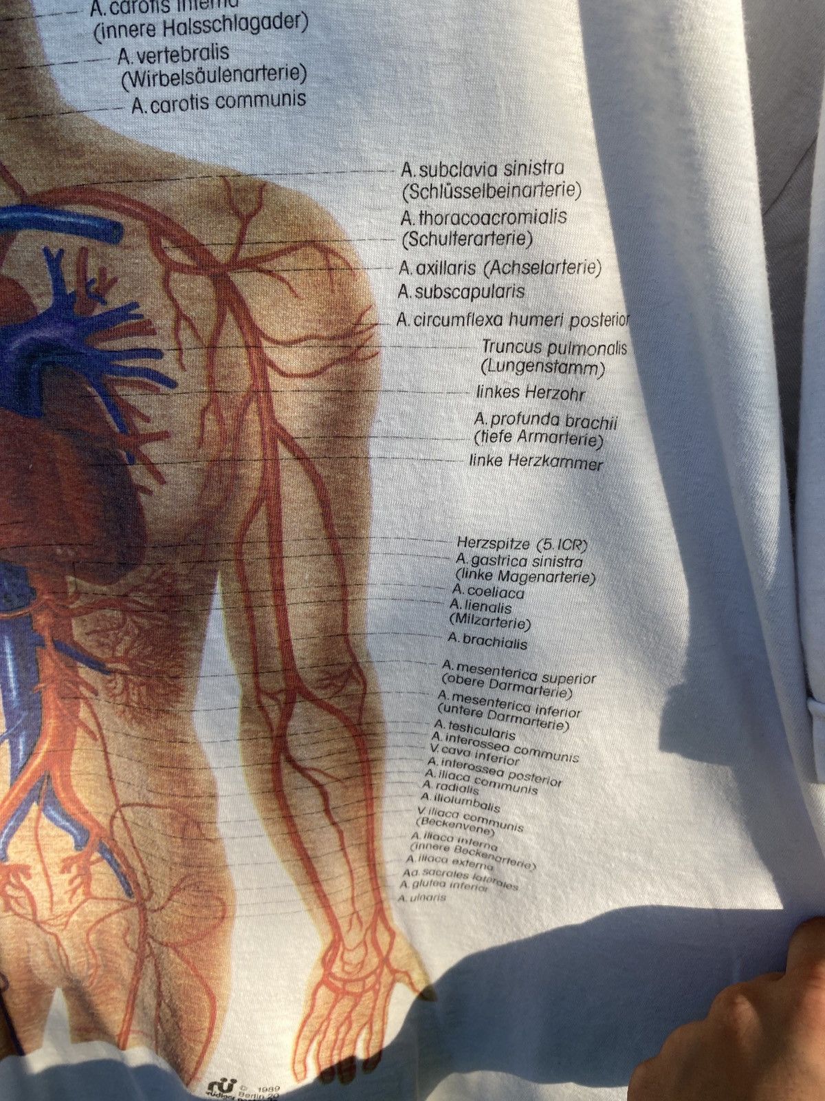Nirvana Vintage rare 1989 Human anatomy Tee Size US XL / EU 56 / 4 - 6 Thumbnail