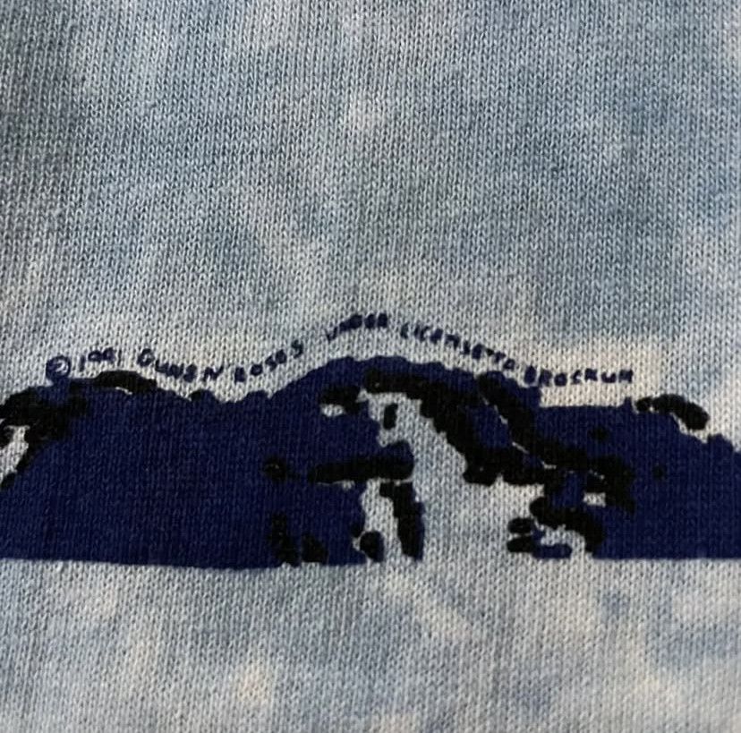 Liquid Blue Vintage Guns N Roses use your illusions Size US XL / EU 56 / 4 - 5 Thumbnail