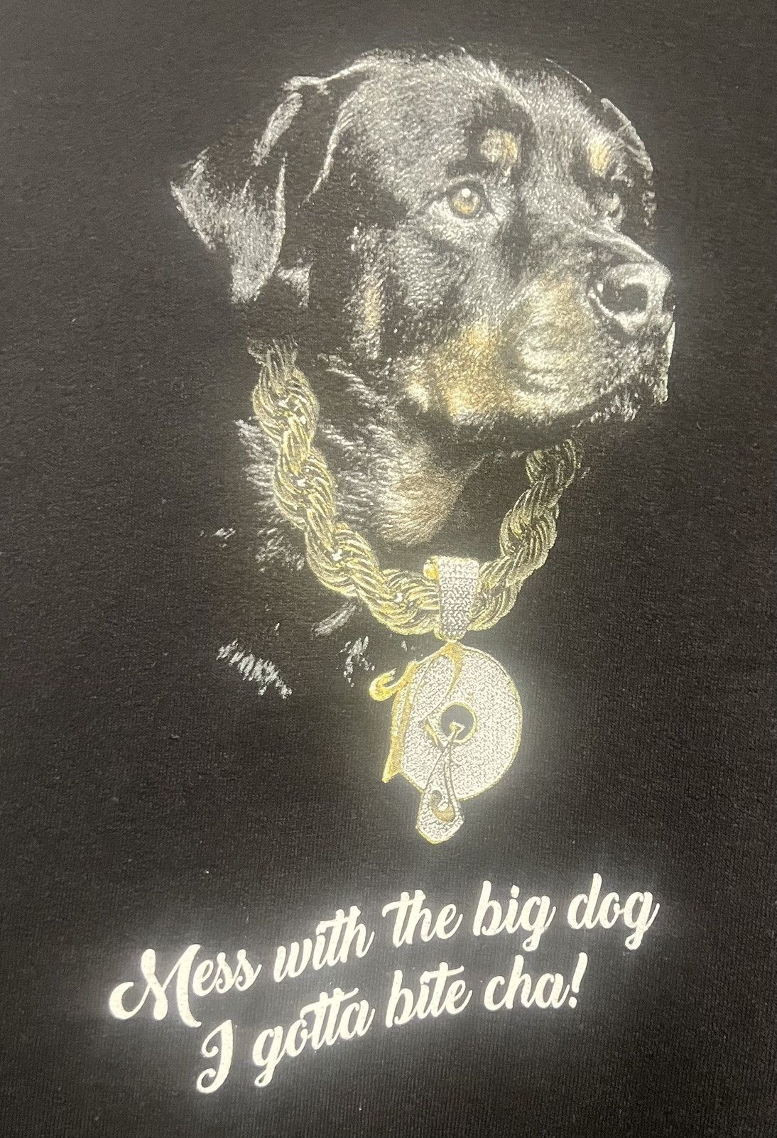 Jay-Z × Other Authentic Reasonable Doubt Jay Z Big Dog hoodie rocafella Size US XXL / EU 58 / 5 - 2 Thumbnail