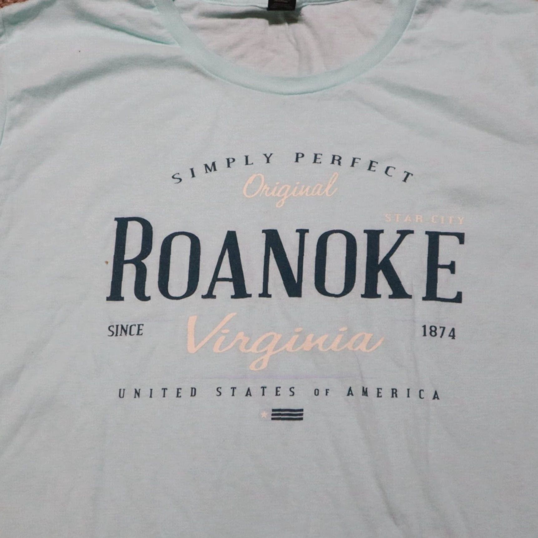 Anvil Roanoke Virginia VA Tee T-Shirt Simply Perfect Women's Large Blue Anvil Shirt Graphic Womens Size L Size L / US 10 / IT 46 - 2 Thumbnail