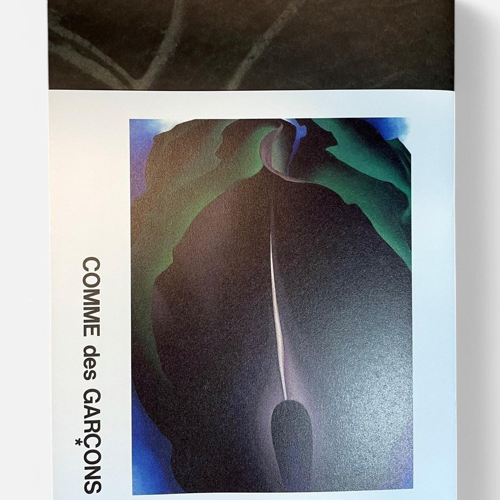 Comme des Garcons × Rei Kawakubo Comme des Garçon GEORGIA O'KEEFFE art photo Book collection Size ONE SIZE - 1 Thumbnail