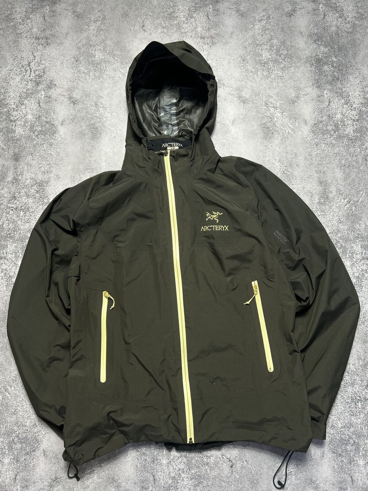 Arc'Teryx Vintage Arc'Teryx Gore-Tex Beta LT Jacket Dark Green