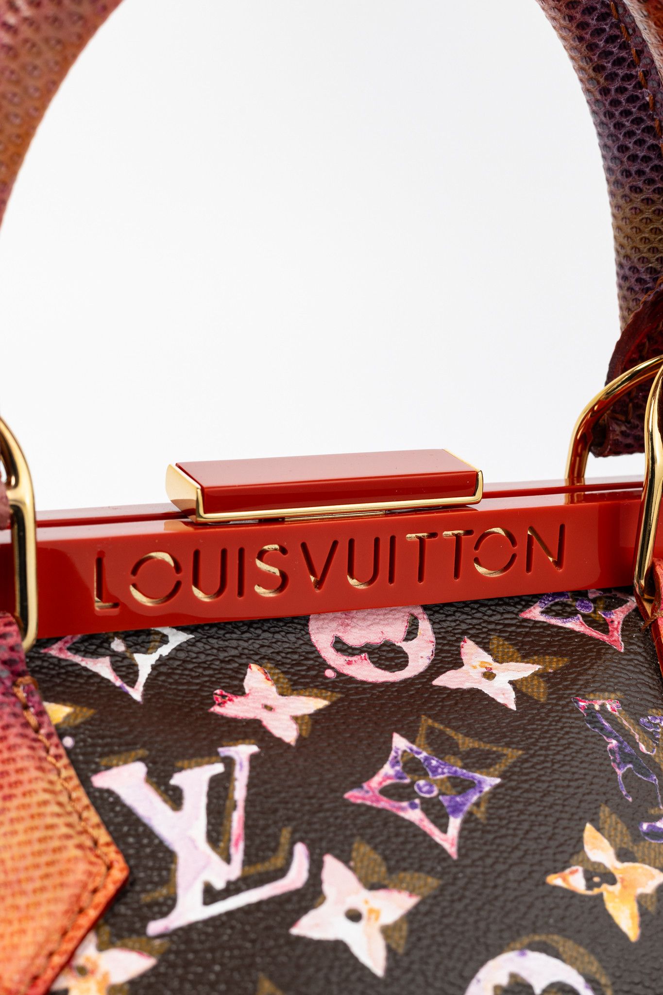 Louis Vuitton Louis Vuitton x Richard Prince Papillon Frame Watercolor Bag Size ONE SIZE - 9 Thumbnail