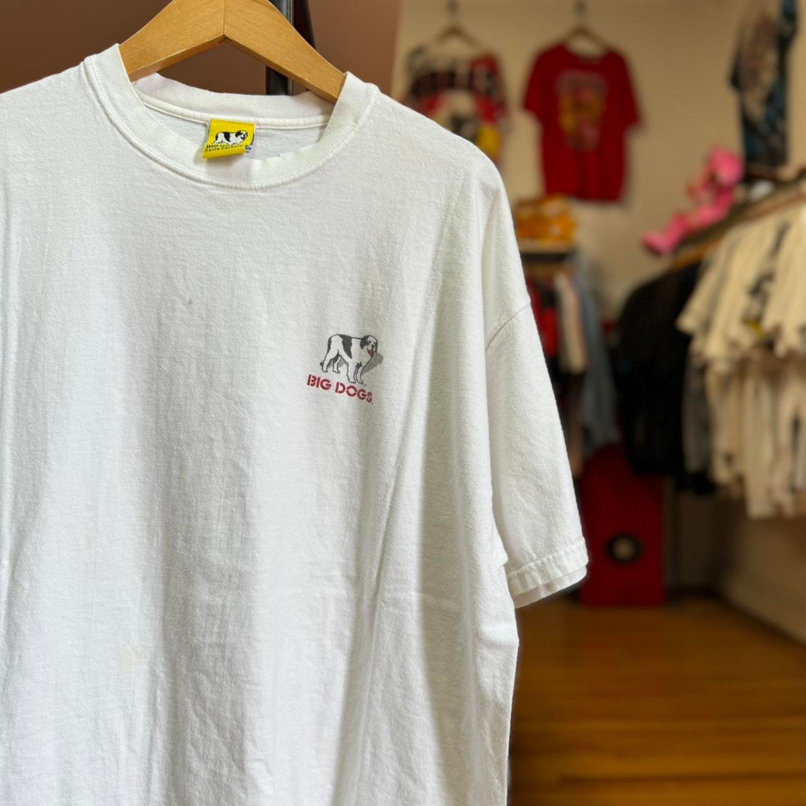 Big Dogs × Vintage Vintage 90s Big Dogs Lessons I Learned Animal T-Shirt Size US L / EU 52-54 / 3 - 2 Thumbnail