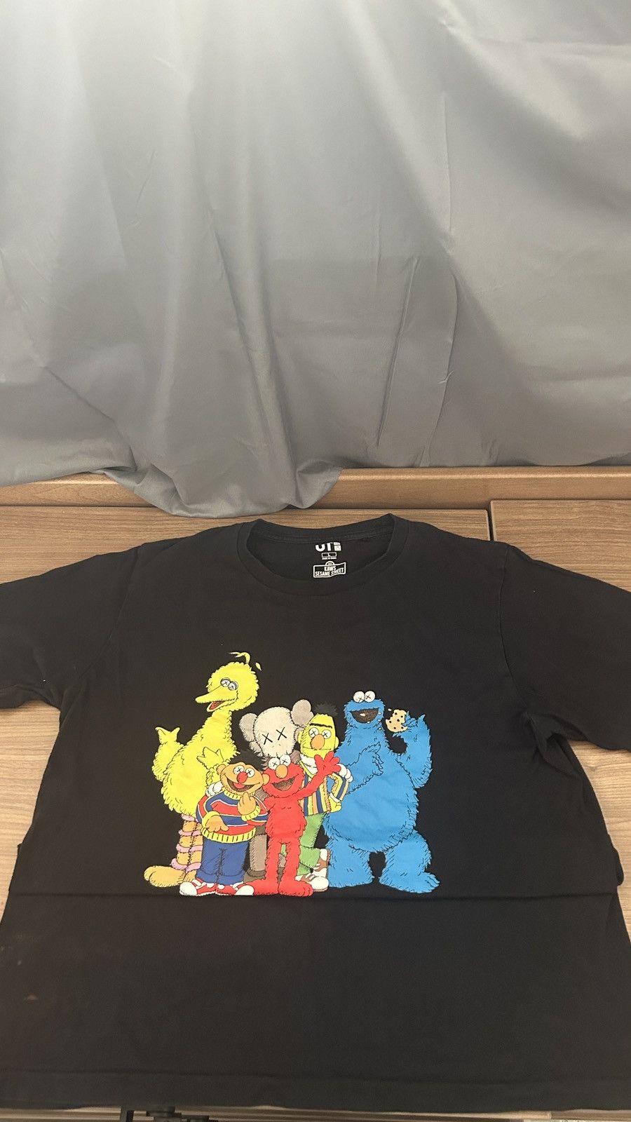 Kaws Kaws x Sesame Street Collab | Grailed