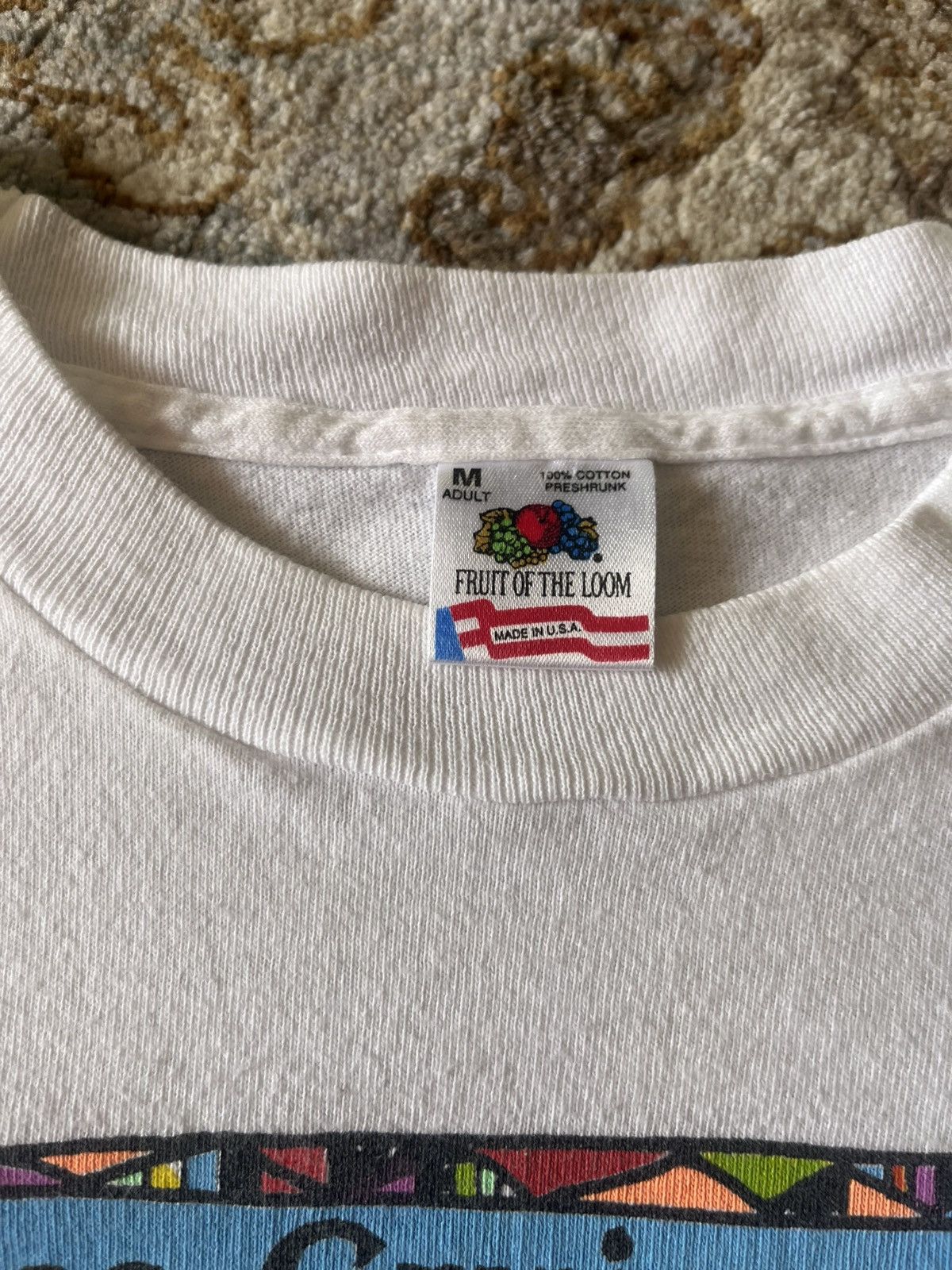 Fruit Of The Loom MADE IN USA SINGLE STITCH PRINCESS CRUISES 80-90 NEON TEE M Size US M / EU 48-50 / 2 - 3 Thumbnail