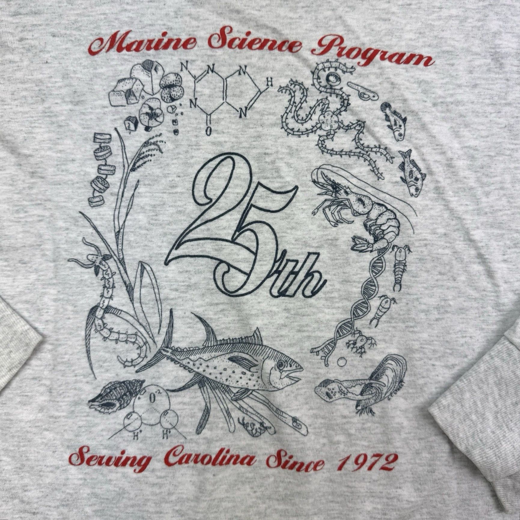 Fruit Of The Loom VINTAGE USC Marine Science Program T Shirt Adult Medium Gray Nature Ocean Animal Crew Neck Short Sleeve Fruit of the Loom Mens 90s Science Jersey Size US M / EU 48-50 / 2 - 2 Thumbnail