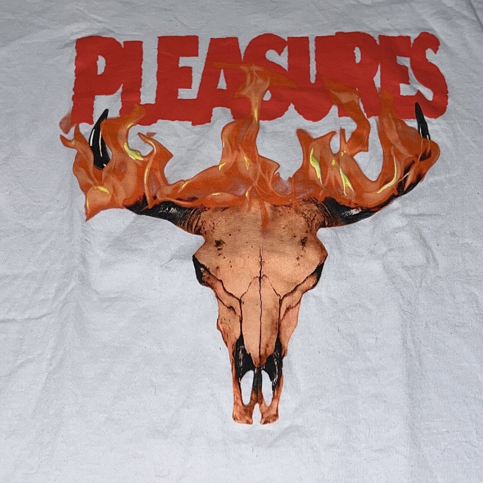 Pleasures Pleasures Now Burning Cattle Skull Logo T-Shirt Men's Medium Size US M / EU 48-50 / 2 - 2 Thumbnail