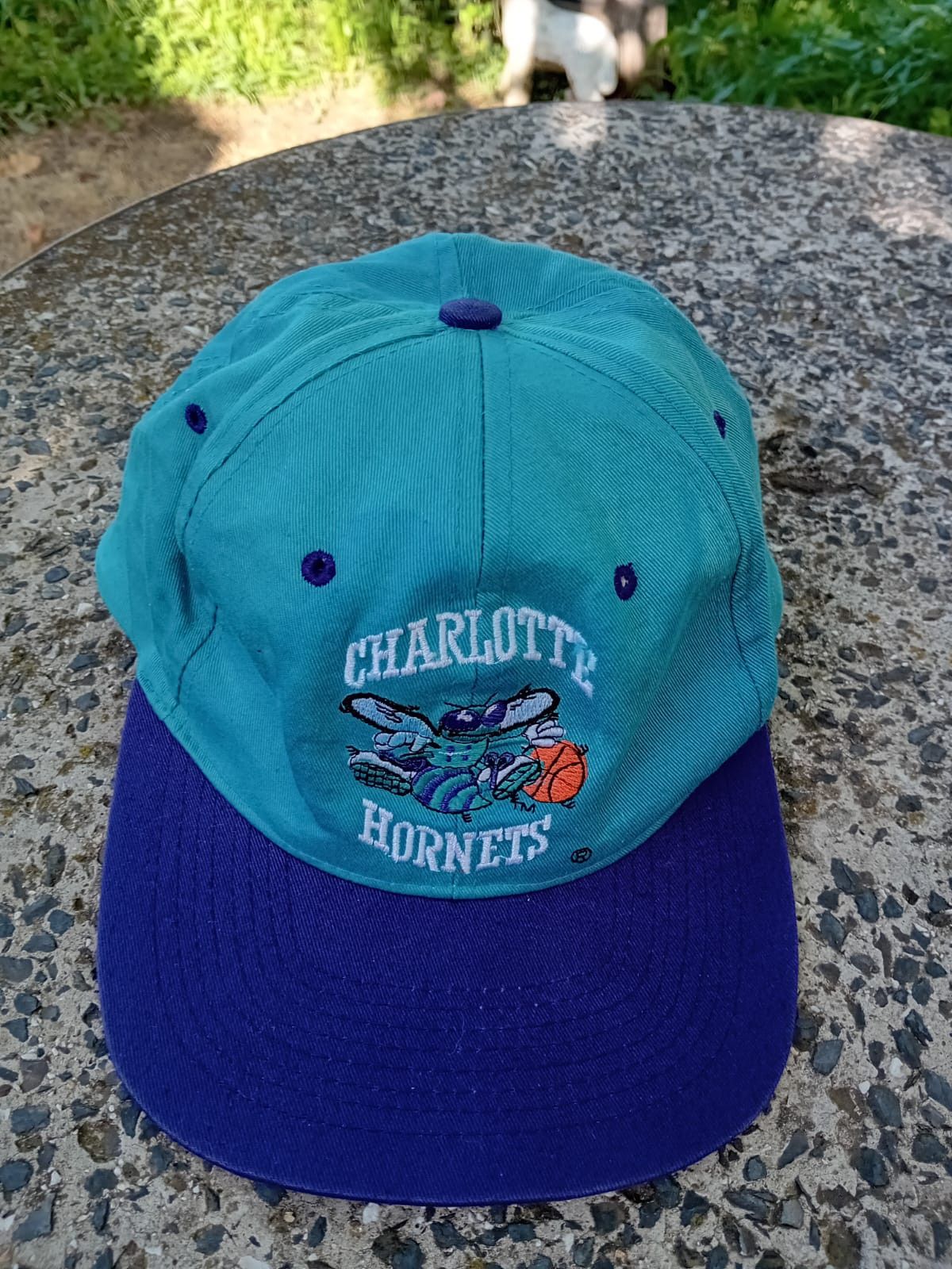 NBA × Vintage Charlotte Hornets NBA Snapback SWAG hat Size ONE SIZE - 1 Thumbnail