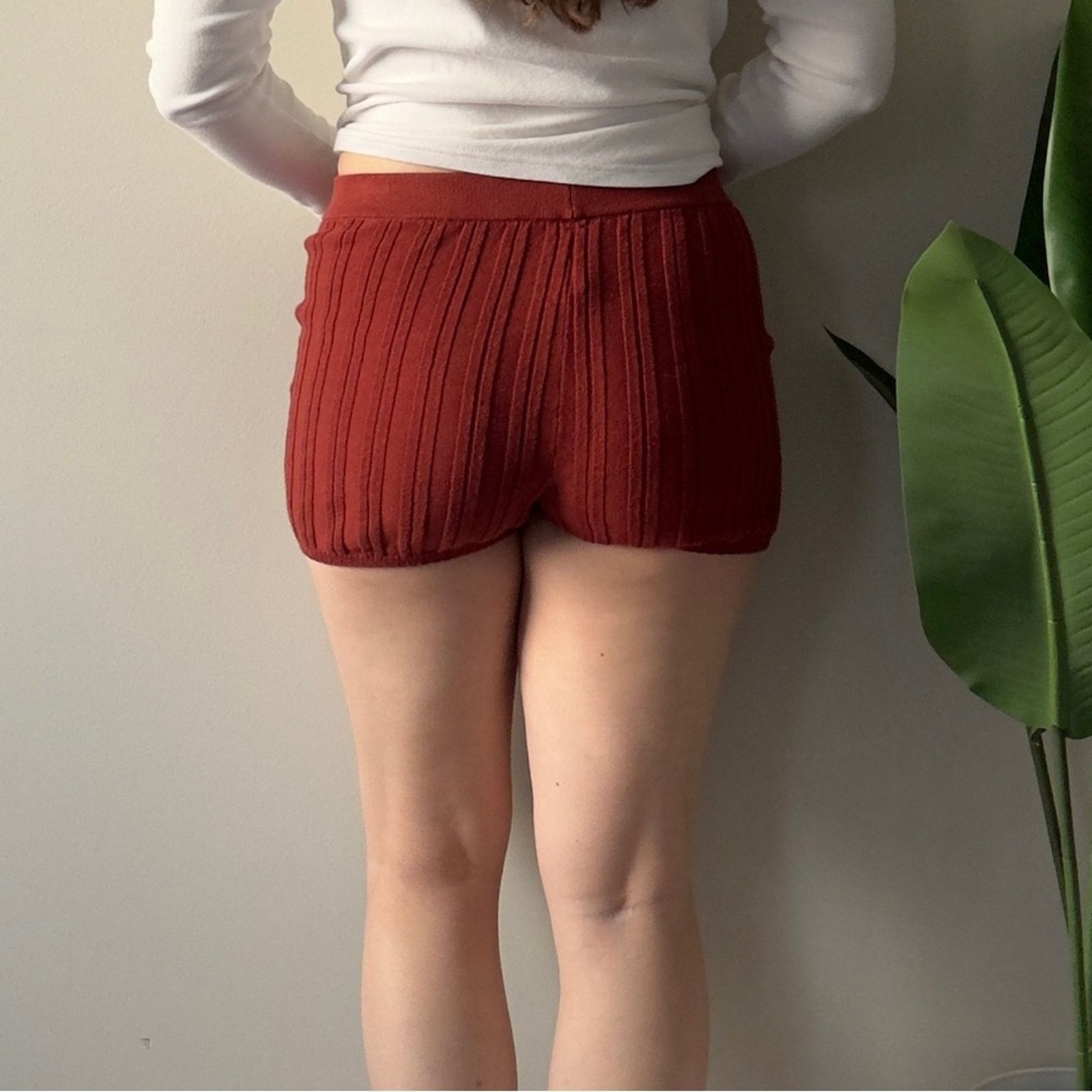 Anthropologie Anthropologie Ribbed Button-Up Shorts Rust cotton blend S Size 27" / US 4 / IT 40 - 2 Thumbnail