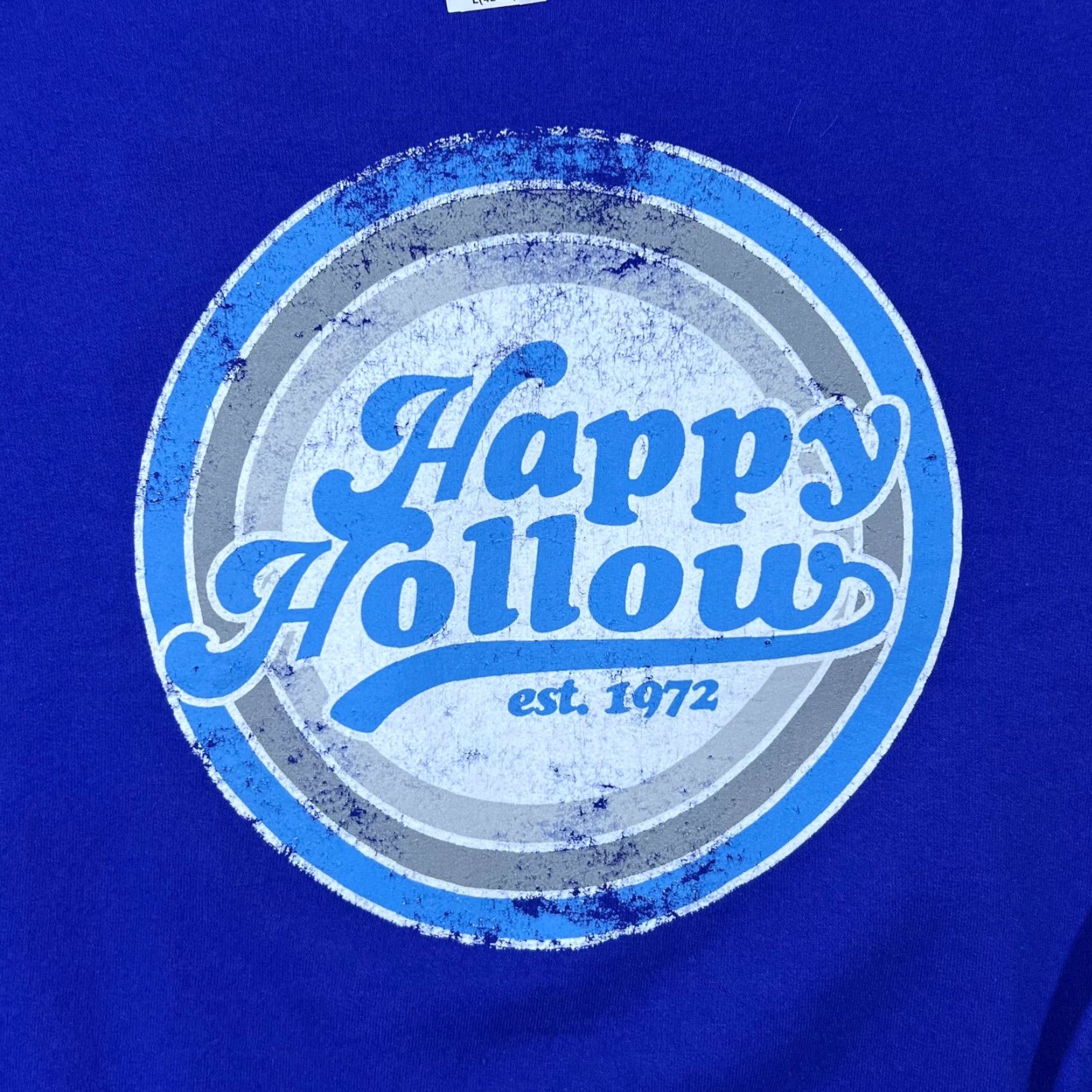 Hanes Hanes Happy Hollow Souvenir Spellout Graphic Crewneck Sweatshirt L Blue Mens Large Size US L / EU 52-54 / 3 - 3 Thumbnail