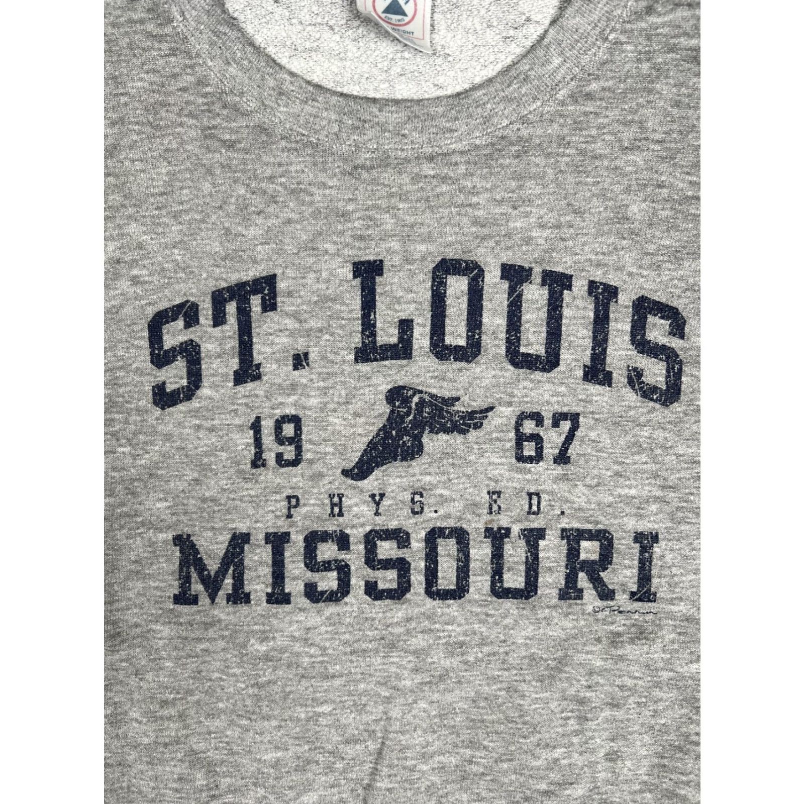 Delta VINTAGE Delta Sweatshirt Mens L Gray Crewneck St Louis Missouri Phys Ed Graphic 90s Shirt Size US L / EU 52-54 / 3 - 3 Thumbnail