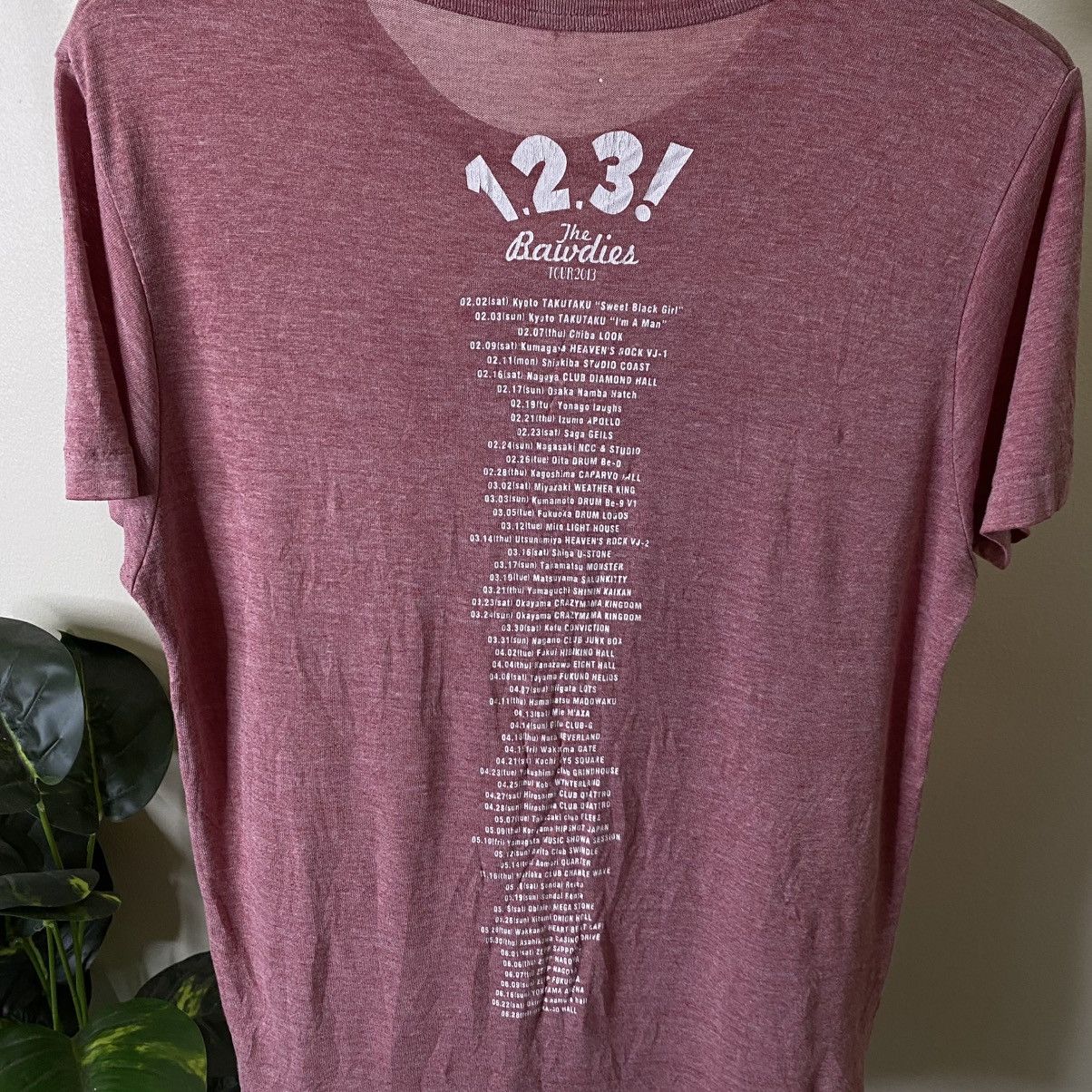 Band Tees The Bawdies Japanese Rock Band 1-2-3 Album Tour T Shirt Size US S / EU 44-46 / 1 - 6 Thumbnail