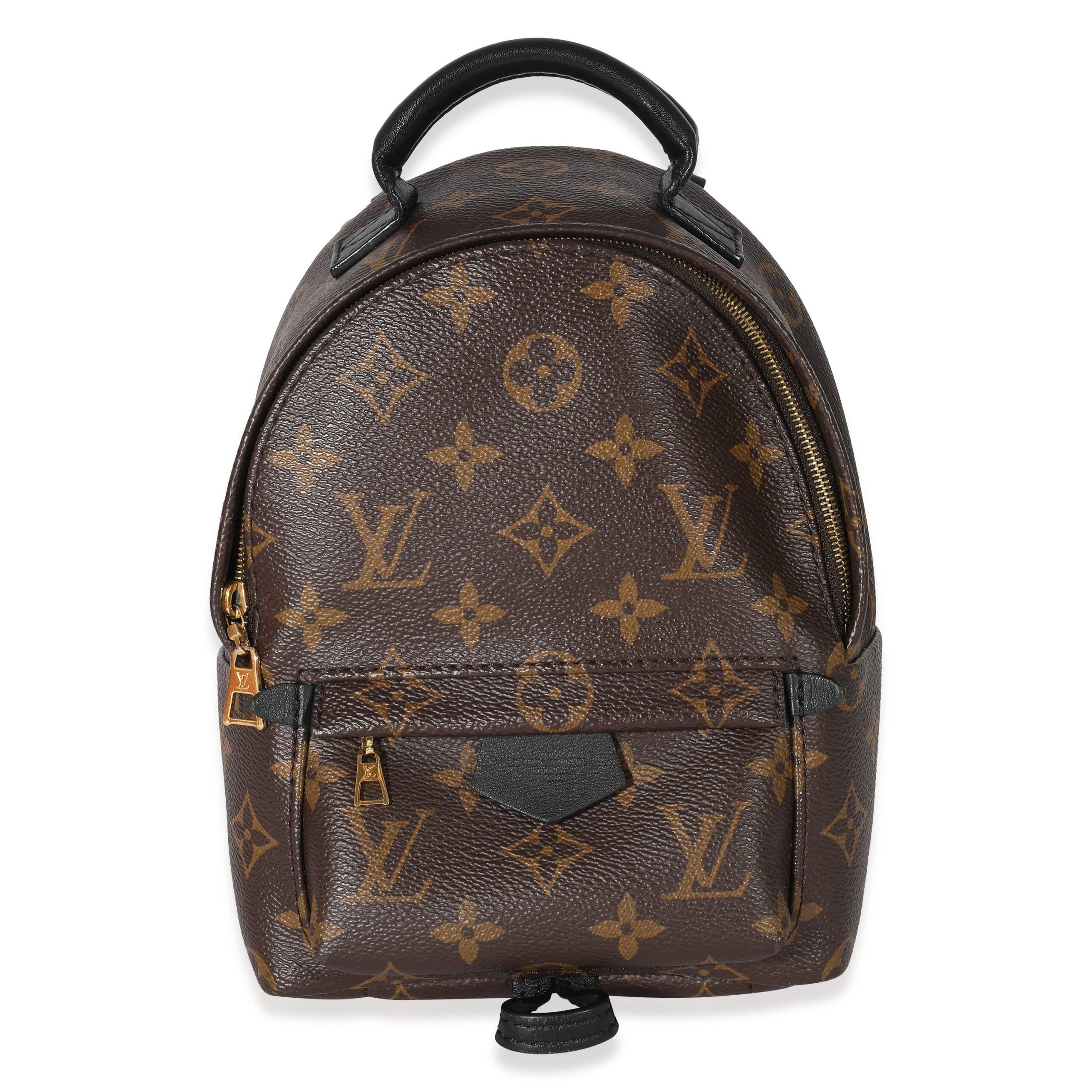 image of Louis Vuitton Monogram Canvas Mini Palm Springs in Brown, Women's