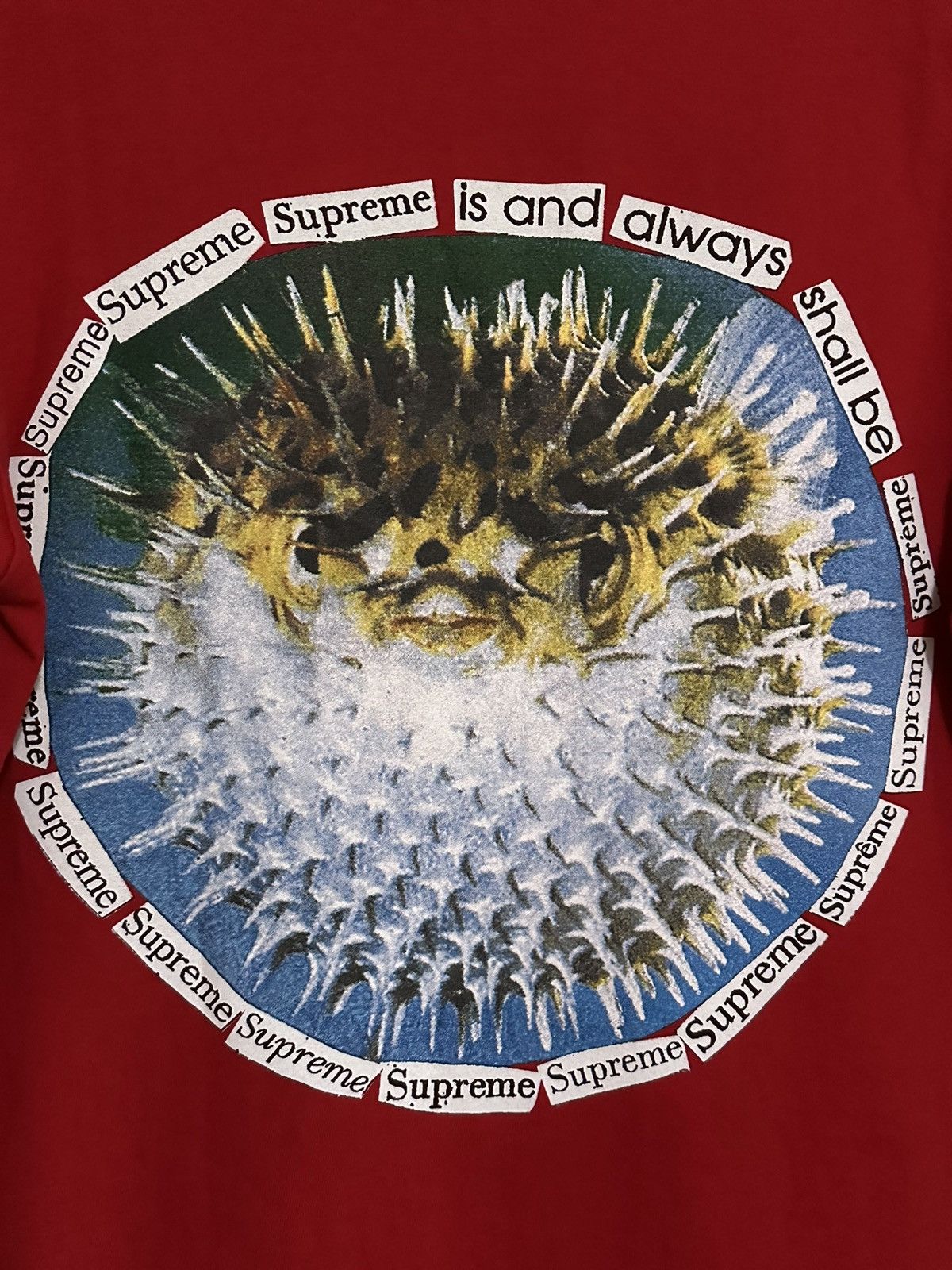 Supreme Supreme Blowfish Tee Size US S / EU 44-46 / 1 - 2 Thumbnail