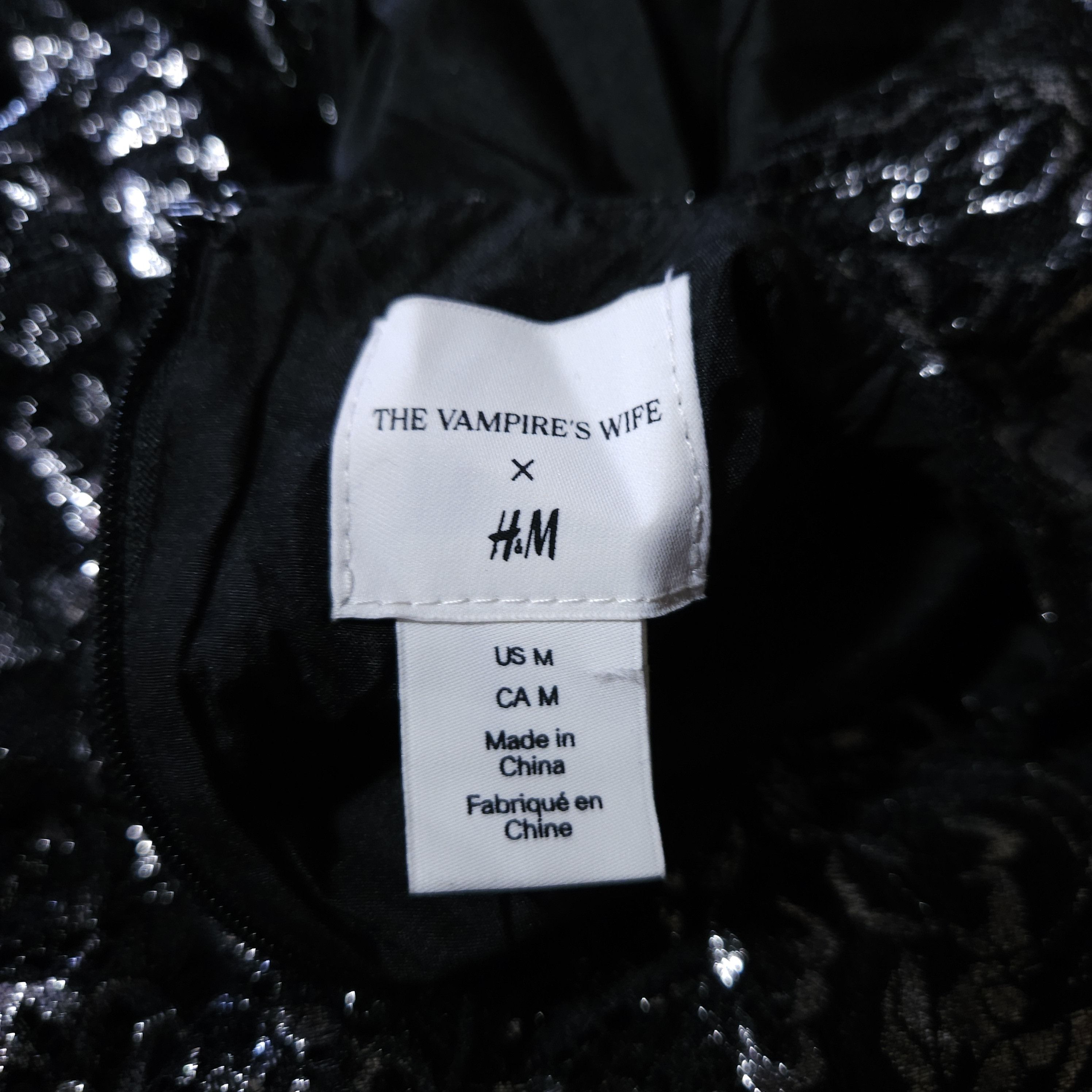 H&M × The Vampire's Wife H&M The Vampire's Wife Mystique Dress Lace Dress Gothic Size M / US 6-8 / IT 42-44 - 5 Thumbnail
