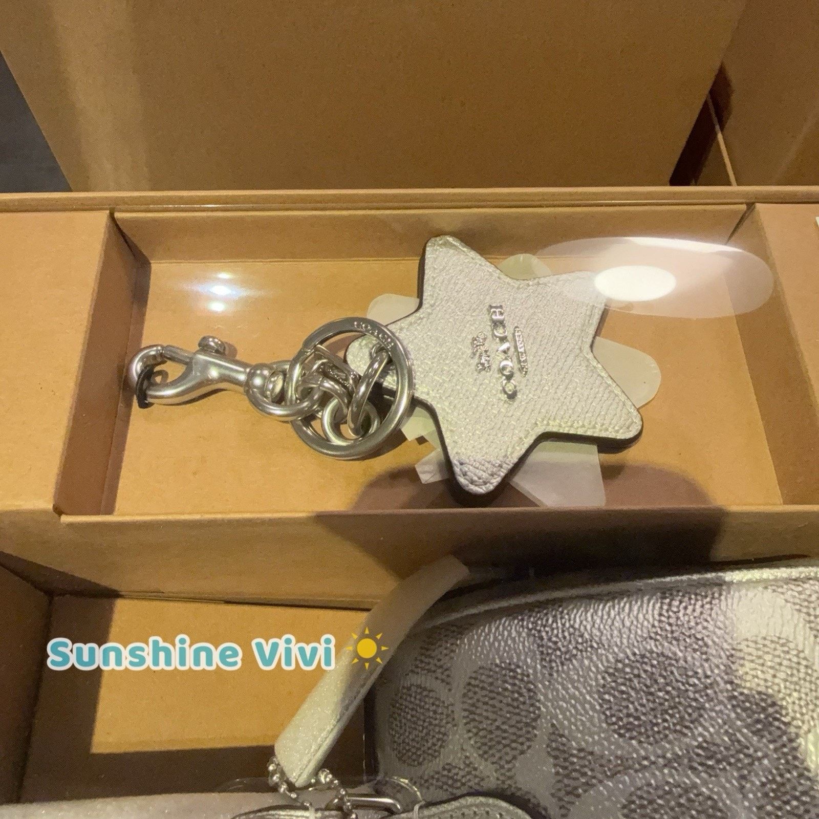 Coach NWT Coach Boxed Mini Rowan Crossbody Bag Mirror Charm CX186 Size ONE SIZE - 7 Thumbnail