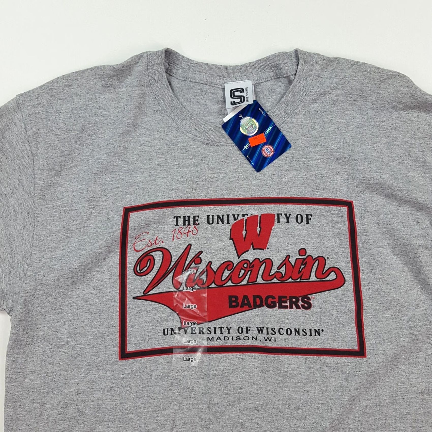 NCAA VINTAGE Wisconsin Badgers T-Shirt Mens Large Gray University NCAA College retro 90s athletic School Graphic Print Spike Sports Size US L / EU 52-54 / 3 - 2 Thumbnail