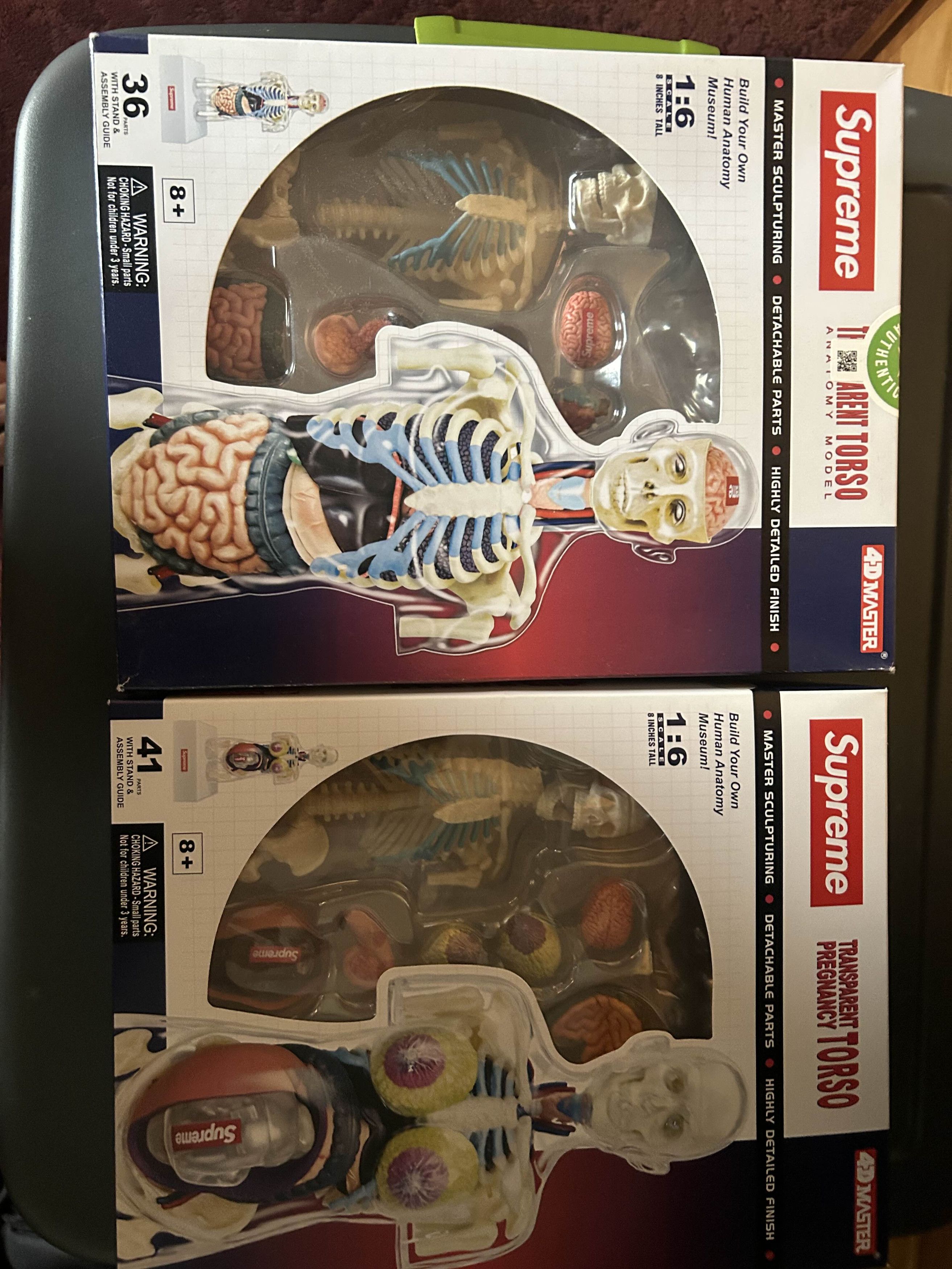 Supreme Supreme Male and Female Anatomy Set Size ONE SIZE - 1 Preview